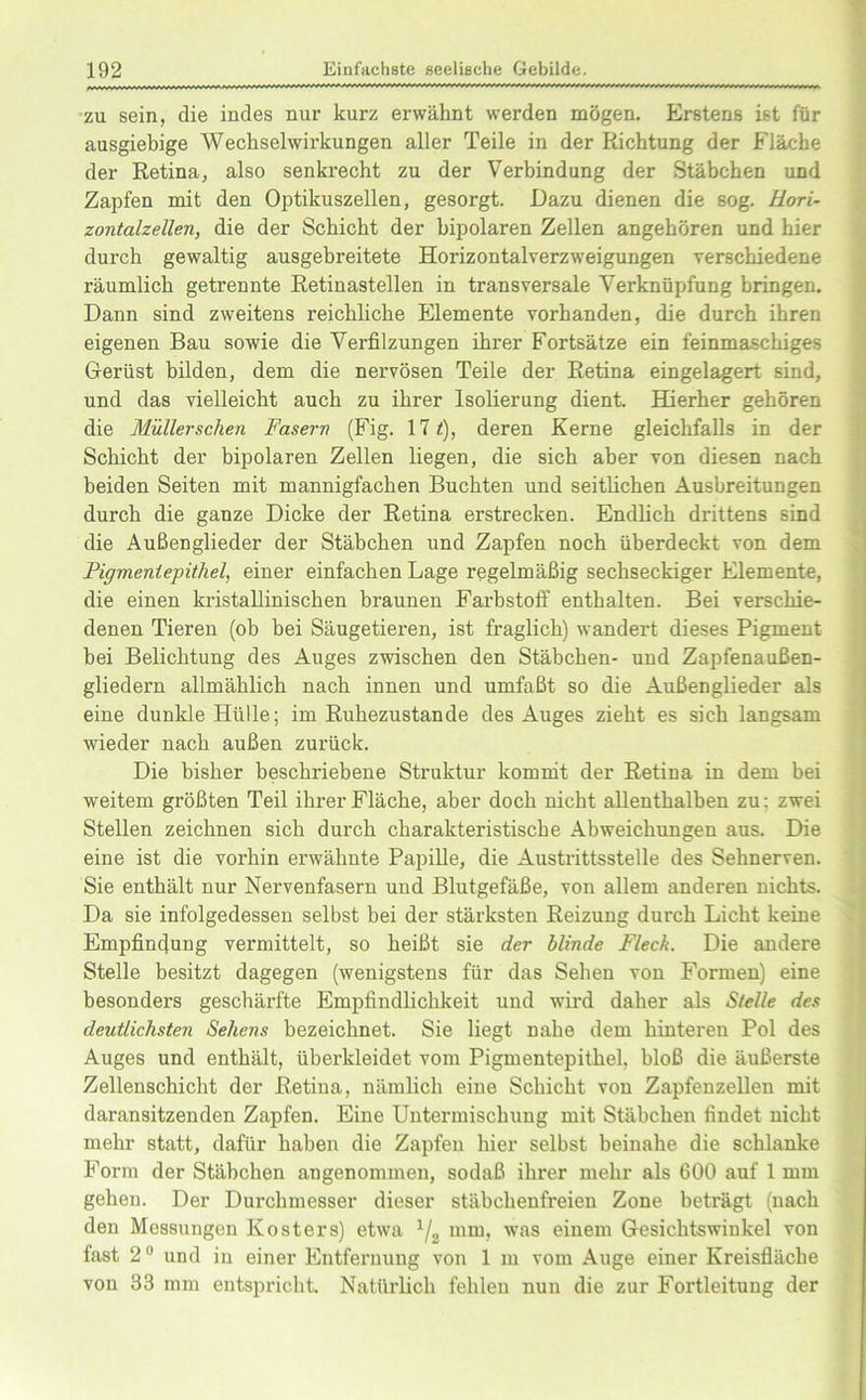 zu sein, die indes nur kurz erwähnt werden mögen. Erstens ist für ausgiebige Wechselwirkungen aller Teile in der Richtung der Fläche der Retina, also senkrecht zu der Verbindung der Stäbchen und Zapfen mit den Optikuszellen, gesorgt. Dazu dienen die sog. Hori- zontalzellen, die der Schicht der bipolaren Zellen angehören und hier durch gewaltig ausgebreitete Horizontalverzweigungen verschiedene räumlich getrennte Retinastellen in transversale Verknüpfung bringen. Dann sind zweitens reichliche Elemente vorhanden, die durch ihren eigenen Bau sowie die Verfilzungen ihrer Fortsätze ein feinmaschiges Gerüst bilden, dem die nervösen Teile der Retina eingelagert sind, und das vielleicht auch zu ihrer Isolierung dient. Hierher gehören die Müllerschen Fasern (Fig. 171), deren Kerne gleichfalls in der Schicht der bipolaren Zellen liegen, die sich aber von diesen nach beiden Seiten mit mannigfachen Buchten und seitlichen Ausbreitungen durch die ganze Dicke der Retina erstrecken. Endlich drittens sind die Außenglieder der Stäbchen und Zapfen noch überdeckt von dem Pigmentepithel, einer einfachen Lage regelmäßig sechseckiger Elemente, die einen kristallinischen braunen Farbstoff enthalten. Bei verschie- denen Tieren (ob bei Säugetieren, ist fraglich) wandert dieses Pigment bei Belichtung des Auges zwischen den Stäbchen- und Zapfenaußen- gliedern allmählich nach innen und umfaßt so die Außenglieder als eine dunkle Hülle; im Ruhezustände des Auges zieht es sich langsam wieder nach außen zurück. Die bisher beschriebene Struktur kommt der Retina in dem bei weitem größten Teil ihrer Fläche, aber doch nicht allenthalben zu; zwei Stellen zeichnen sich durch charakteristische Abweichungen aus. Die eine ist die vorhin erwähnte Papille, die Austrittsstelle des Sehnerven. Sie enthält nur Nervenfasern und Blutgefäße, von allem anderen nichts. Da sie infolgedessen selbst bei der stärksten Reizung durch Licht keine Empfindung vermittelt, so heißt sie der blinde Fleck. Die andere Stelle besitzt dagegen (wenigstens für das Sehen von Formen) eine besonders geschärfte Empfindlichkeit und wird daher als Stelle des deutlichsten Sehens bezeichnet. Sie liegt nahe dem hinteren Pol des Auges und enthält, überkleidet vom Pigmentepithel, bloß die äußerste Zellenschicht der Retina, nämlich eine Schicht von Zapfenzellen mit daransitzenden Zapfen. Eine Untermischung mit Stäbchen findet nicht mehr statt, dafür haben die Zapfen hier selbst beinahe die schlanke Form der Stäbchen angenommen, sodaß ihrer mehr als 600 auf 1 mm gehen. Der Durchmesser dieser stäbchenfreien Zone beträgt (nach den Messungen Kosters) etwa 1/2 mm, was einem Gesichtswinkel von fast 2(> und in einer Entfernung von 1 m vom Auge einer Kreisfläche von 33 mm entspricht. Natürlich fehlen nun die zur Fortleitung der