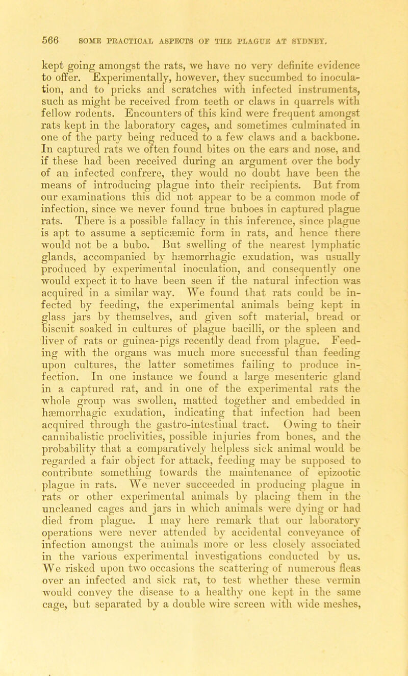 kept going amongst the rats, we liave no very definite evidence to offer. Experimentally, however, they succumbed to inocula- tion, and to pricks and scratches with infected instruments, such as might be received from teeth or claws in quarrels with fellow rodents. Encounters of this kind were frequent amongst rats kept in the laboratory cages, and sometimes culminated in one of the party being reduced to a few claws and a backbone. In captured rats we often found bites on the ears and nose, and if these had been received during an argument over the body of an infected confrere, they would no doubt have been the means of introducing plague into their recipients. But from our examinations this did not appear to be a common mode of infection, since we never found true buboes in captured plague rats. There is a possible fallacy in this inference, since plague is apt to assume a septicsemic form in rats, and hence there would not be a bubo. But swelling of the nearest lymphatic glands, accompanied by hiemorrhagic exudation, was usually produced by experimental inoculation, and consequently one Avould expect it to have been seen if the natural infection was acquired in a similar way. We found that rats could be in- fected by feeding, the experimental animals being kept in glass jars by themselves, and given soft material, bread or biscuit soaked in cultures of plague bacilli, or the spleen and liver of rats or guinea-pigs recently dead from plague. Feed- ing with the organs was much more successful than feeding upon cultures, the latter sometimes failing to produce in- fection. In one instance we found a larcre mesenteric sland in a captured rat, and in one of the experimental rats the whole group was swollen, matted together and embedded in hiemorrhagic exudation, indicating that infection had been acquired through the gastro-intestinal tract. Owing to their cannibalistic proclivities, possible injuries from bones, and the probability that a compai'atively helpless sick animal would be regarded a fair object for attack, feeding may be supposed to contribute something towards the maintenance of epizootic plague in rats. We never succeeded in producing plague in rats or other experimental animals by placing them in the uncleaned cages and jars in which animals were dying or had died from plague. I may here remark that our laboratory operations were never attended by accidental conveyance of infection amongst the animals more or less closely associated in the various experimental investigations conducted by us. We risked upon two occasions the scattei'ing of numerous fleas over an infected and sick rat, to test whether these vermin would convey the disease to a healthy one kept in the same cage, but separated by a double wire screen with wide meshes.