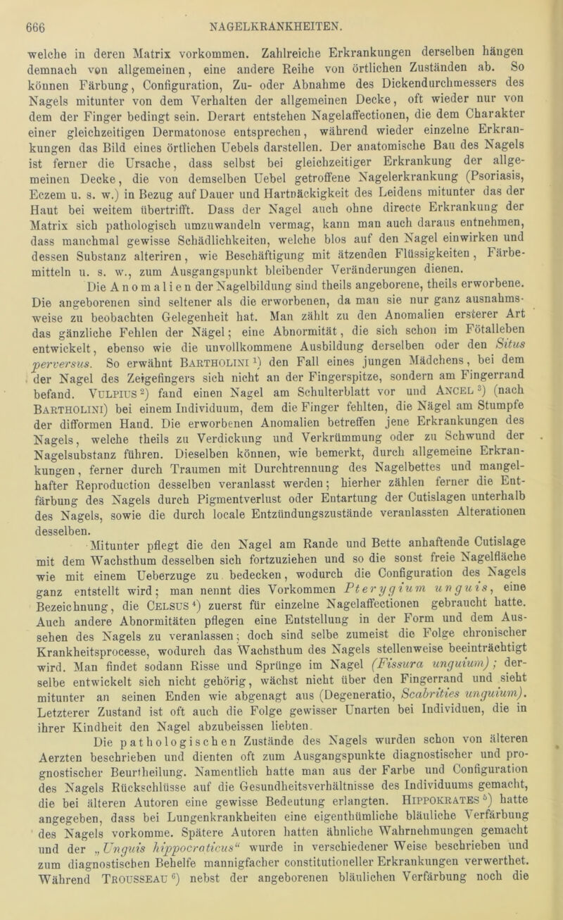 welche in deren Matrix Vorkommen. Zahlreiche Erkrankungen derselben hängen demnach von allgemeinen, eine andere Reihe von örtlichen Zuständen ab. So können Färbung, Configuration, Zu- oder Abnahme des Dickendurchmessers des Nagels mitunter von dem Verhalten der allgemeinen Decke, oft wieder nur von dem der Finger bedingt sein. Derart entstehen Nagelaffectionen, die dem Charakter einer gleichzeitigen Dermatonose entsprechen, während wieder einzelne Erkran- kungen das Bild eines örtlichen Uebels darstellen. Der anatomische Bau des Nagels ist ferner die Ursache, dass selbst bei gleichzeitiger Erkrankung der allge- meinen Decke, die von demselben Uebel getroffene Nagelerkrankung (Psoriasis, Eczem u. s. w.) in Bezug auf Dauer und Hartnäckigkeit des Leidens mitunter das der Haut bei weitem ttbertriflft. Dass der Nagel auch ohne directe Erkrankung der Matrix sich pathologisch umzuwandeln vermag, kann man auch daraus entnehmen, dass manchmal gewisse Schädlichkeiten, welche blos auf den Nagel einwirken und dessen Substanz alteriren, wie Beschäftigung mit ätzenden Flüssigkeiten , Färbe- mitteln u. s. w., zum Ausgangspunkt bleibender Veränderungen dienen. Die Anomalien der Nagelbildung sind theils angeborene, theils erworbene. Die angeborenen sind seltener als die erworbenen, da man sie nur ganz ausnahms- weise zu beobachten Gelegenheit hat. Man zählt zu den Anomalien ersierer Art das gänzliche Fehlen der Nägel 5 eine Abnormität, die sich schon im Fötalleben entwickelt, ebenso wie die unvollkommene Ausbildung derselben oder den Situs perversus. So erwähnt Bartholini D den Fall eines jungen Mädchens, bei dem . der Nagel des Zeigefingers sich nicht an der Fingerspitze, sondern am Fingerrand befand. Vülpil'S^) fand einen Nagel am Schulterblatt vor und Angel s) (nach Bartholini) bei einem Individuum, dem die Finger fehlten, die Nägel am Stumpfe der diflformen Hand. Die erworbenen Anomalien betreffen jene Erkrankungen des Nagels, welche theils zu Verdickung und Verkrümmung oder zu Schwund der Nagelsubstanz führen. Dieselben können, wie bemerkt, durch allgemeine Erkran- kungen , ferner durch Traumen mit Durchtrennung des Nagelbettes und mangel- hafter Reproduction desselben veranlasst werden; hierher zählen ferner die Ent- färbung des Nagels durch Pigmentverlust oder Entartung der Cutislagen unterhalb des Nagels, sowie die durch locale Entzündungszustände veranlassten Alterationen desselben. Mitunter pflegt die den Nagel am Rande und Bette anhaftende Cutislage mit dem Wachsthum desselben sich fortzuziehen und so die sonst freie Nagelfläche wie mit einem Ueberzuge zu bedecken, wodurch die Configuration des Nagels ganz entstellt wird; man nennt dies Vorkommen Pterygiuin unguis^ eine Bezeichnung, die Celsus zuerst für einzelne Nagelaffectionen gebraucht batte. Auch andere Abnormitäten pflegen eine Entstellung in der Form und dem Aus- sehen des Nagels zu veranlassen; doch sind selbe zumeist die Folge chronischer Krankheitsprocesse, wodurch das Wachsthum des Nagels stellenweise beeinträchtigt wird. Man findet sodann Risse und Sprünge im Nagel (Fissura unguium); der- selbe entwickelt sich nicht gehörig, wächst nicht über den Fingerrand und sieht mitunter an seinen Enden wie abgenagt aus (Degeneratio, Scabrities unguium). Letzterer Zustand ist oft auch die Folge gewisser Unarten bei Individuen, die in ihrer Kindheit den Nagel abzubeissen liebten. Die pathologischen Zustände des Nagels wurden schon von älteren Aerzten beschrieben und dienten oft zum Ausgangspunkte diagnostischer und pro- gnostischer Beurtheilung. Namentlich hatte man aus der Farbe und Configuration des Nagels Rückschlüsse auf die Gesundheitsverhältnisse des Individuums gemacht, die bei älteren Autoren eine gewisse Bedeutung erlangten. Hippokrates hatte angegeben, dass bei Lungenkrankheiten eine eigenthümliche bläuliche Verfärbung des Nagels vorkomme. Spätere Autoren hatten ähnliche Wahrnehmungen gemacht und der „ Unguis hippocraticus‘‘ wurde in verschiedener Weise beschrieben und zum diagnostischen Behelfe mannigfacher constitutioneller Erkrankungen verwerthet. Während Trousseau ®) nebst der angeborenen bläulichen Verfärbung noch die