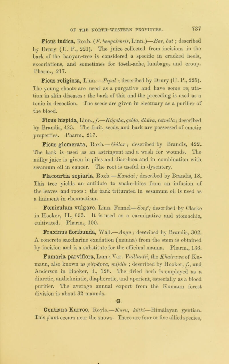 Ficus indica, lioxb. {F. hengalensis, Linn.)—Bar, hat; described by Drury (U. P-, 221). The juice collected from incisions in the bark of the banyan-tree is considered a specific in cracked heels, excoriations, and sometimes for tooth-ache, lumbago, and croup. Pharm., 217. Ficus religiosa, Linn.—Pipal ; described by Drury (U. P., 225). The young shoots are used as a purgative and have some re^ uta- tioii in skin diseases ; the hark of this and the preceding is used as a tonic in desoction. The seeds are given in electuary as a purifier of the blood. Ficus hispida, Linn.,/.—Kdgoha,gohla, dhura, totmila; described by Brandis, 423. The fruit, seeds, and bark are possessed of emetic properties. Pharm., 217. Ficus glomerata, Roxb.— Gular; described by Brandis, 422. The bark is used as an astringent and a wash for wounds. The milky juice is given in piles and diarrhoea and in combination with sesamum oil in cancer. The root is useful in dysentery. Flacourtia sepiaria, Roxb.—Kondai; described by Brandis, 18. This tree yields an antidote to snake-bites from an infusion of the leaves and roots : the bark triturated in sesamum oil is used as a liniment in rheumatism. Foeniculum vulgare, Linn. Fennel—Sonf; described by Clarke in Hooker, II., 695. It is used as a carminative and stomachic, cultivated. Pharm., 100. Fraxinus floribunda, Wall.—Angu; described by Brandis, 302. A concrete saccharine exudation (manna) from the stem is obtained by incision and is a substitute for the officinal manna. Pharm., 136. Fumaria parviflora, Lam.; Var. Vaillantii, the Khairmva oi Ku- maun, also known as pitpdpra, mijdlii ; described by Hooker, /., and Anderson in Hooker, I., 128. The dried herb is employed as a diuretic, anthelmintic, diaphoretic, and aperient, especially as a blood purifier. The average annual export from the Kumaun forest division is about 32 maunds. G Gentian a Kurroo, Royle.—Knru, hitki—Himalayan gentian. This plant occurs near the snows. There are four or live allied species,