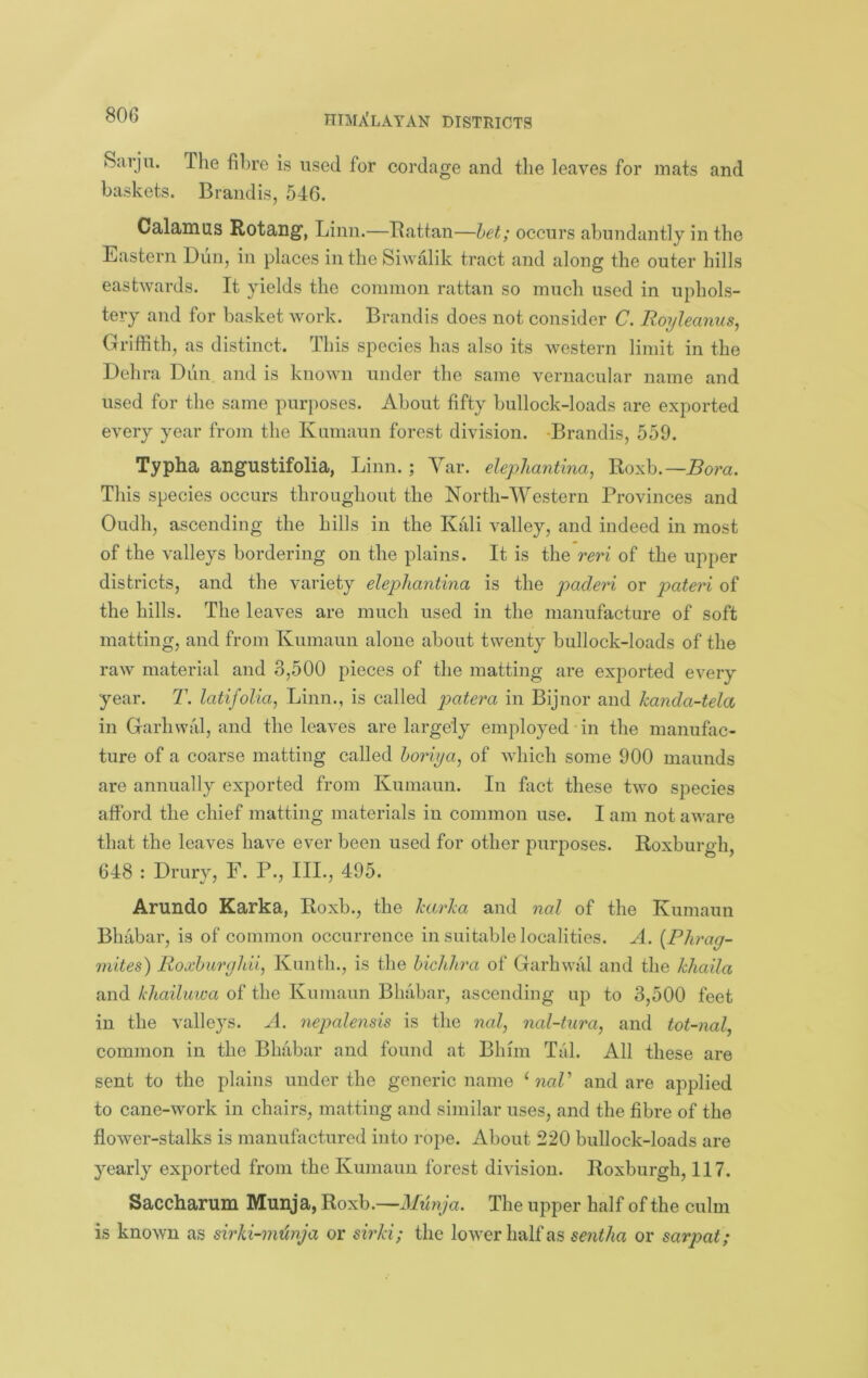 Sarju. The fibre is used for cordage and the leaves for mats and baskets. Brandis, 546. Calamus Rotang, Linn.—Rattan—het; occurs abundantly in the Eastern Dun, in places in the Siwalik tract and along the outer hills eastwards. It yields the common rattan so much used in uphols- tery and for basket work. Brandis does not consider C. Boyleanus, Griffith, as distinct. This species has also its western limit in the Dehra Dun and is known under the same vernacular name and used for the same pur})oses. About fifty bullock-loads are exported every year from the Kumaun forest division. -Brandis, 559. Typha angustifolia, Linn. ; Yar. elephantina, Roxb.—Bora. This species occurs throughout the North-Y^estern Provinces and Oudh, ascending the hills in the Kali valley, and indeed in most of the valleys bordering on the plains. It is the reri of the upper districts, and the variety elephantina is the paderi or pateri of the hills. The leaves are much used in the manufacture of soft matting, and from Kumaun alone about twenty bullock-loads of the raw material and 3,500 pieces of the matting are exported every year. T. latifolia, Linn., is called in Bijnor and kanda-tela in Garhwal, and the leaves are largely employed-in the manufac- ture of a coarse matting called horiya, of which some 900 maunds are annually exported from Kumaun. In fact these two species afford the chief matting materials in common use. I am not aware that the leaves have ever been used for other purposes. Roxburgh, 648 : Drury, F. P., III., 495. Arundo Karka, Roxb., the harka and nal of the Kumaun Bhabar, is of common occurrence in suitable localities. A. {Plirag- mites) Roxhurghii, Kunth., is the hicJthra of Garhwal and the kliaila and kliailuwa of the Kumaun Bhabar, ascending up to 3,500 feet in the valleys. A. nepalensis is the nal, nal-tura, and tot-nal, common in the Bhabar and found at Bhiin Tiil. All these are sent to the plains under the generic name ^ naV and are applied to cane-work in chairs, matting and similar uses, and the fibre of the fl.ower-stalks is manufactured into rope. About 220 bullock-loads are yearly exported from the Kumauii forest division. Roxburgh, 117. Saccharum Munja, Roxb.—J/tfw/a. The upper half of the culm is known as sirki-m'dnja or sii'ki; the lower half as sentha or sarpat;