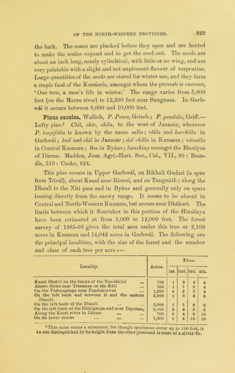 the bark. The cones are plucked before they open and are heated to make the scales expand and to get the seed out. The seeds are about an inch long,nearly cylindrical, with little or no wing, and are very palatable with a slight and not unpleasant flavour of turpentine. LarfJ-e quantities of the seeds are stored for winter use, and they form a staple food of the Kunaoris, amongst whom the proverb is current, ‘ One tree, a man’s life in winter.’ The range varies from 5,800 feet (on the Marru river) to 12,300 feet near Sungnam. In Garh- wal it occurs between 6,000 and 10,000 feet. Pinus excelsa, Wallich, P. Griseb.; P. pendula,(jiY\W.— Lofty pine.^ Chil, chir, cMlu^ to the west of Jaunsar, wherever P. loiujifolia is known by the name salla; chila and kurchilla in Garhwal; kail and chil in Jaunsar ; dol ckilla in Kumaun ; rdisalla in Central Kumaun; Hm in Byiins; lamshhuj amongst the Bhotiyas of Darma. Madden, Jour. Agri.-Hort. Soc., Cal., VII., 80 : Bran- dis, 510 : Cooke, 824. This pine occurs in Upper Garhwal, on Rikholi Gudari (a spur from Trisiil), about Kanol near Ramni, and on Tungnath ; along the Dhauli to the Niti pass and in Byans and generally only on spurs issuing directly from the snowy range. It seems to be absent in Central and North-Western Kumaun, but occurs near Dhakuri. The limits between which it flourishes in this portion of the Himalaya have been estimated at from 5,000 to 12,000 feet. The forest survey of 1865-66 gives the total area under this tree at 2,100 acres in Kumaun and 14,042 acres in Garhwal. The following are the principal localities, with the size of the forest and the number and class of each tree per acre :— Locality. Acres. Trees. 1st. 2nd. 3rd. 4th. Kanol Shatul on the banks of the Nandakini ... 782 1 3 4 4 Above iSirka near Titalakot on the Kali 100 1 1 2 4 On the Vishnuganga near Pandukeswar 1,290 0 2 3 4 On the left bank and between it and the eastern S,600 1 3 4 5 Dhauli. On the left bank of the Dhauli 3,000 5 6 6 6 On tlie left bank of the Kishiganga and near Tapuban, 6,(»60 2 4 5 5 Along the Kunti river in Darma 700 0 4 6 10 On its lower course ... ... 1,400 1 6 10 10 ‘This name seems a misnomer, for though specimens occur up to 150 feet it IB not distinguished by its height fioni the other pines and is more of a eilver-fir.