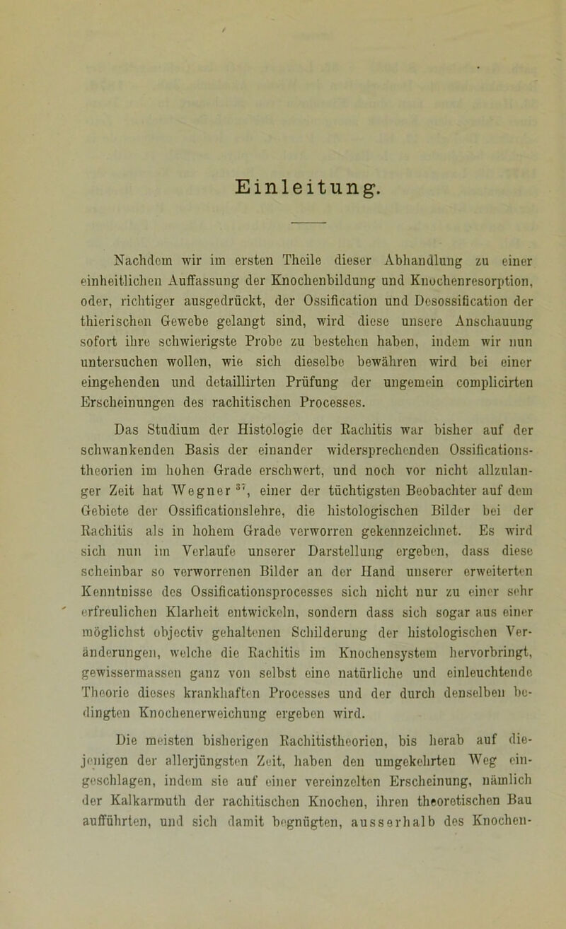 Einleitung. Nachdem wir im ersten Theile dieser Abhandlung zu einer einheitlichen Auffassung der Knochenbildung und Knochenresorption, oder, richtiger ausgedrückt, der Ossification und Desossification der thierischon Gewebe gelangt sind, wird diese unsere Anschauung sofort ihre schwierigste Probe zu bestehen haben, indem wir nun untersuchen wollen, wie sich dieselbe bewähren wird bei einer eingehenden und detaillirten Prüfung der ungemein complicirten Erscheinungen des rachitischen Processes. Das Studium der Histologie der Rachitis war bisher auf der schwankenden Basis der einander widersprechenden Ossiiications- theorien im hohen Grade erschwert, und noch vor nicht allzulan- ger Zeit hat Wegner 3‘, einer der tüchtigsten Beobachter auf dem Gebiete der Ossificationslehre, die histologischen Bilder bei der Rachitis als in hohem Grade verworren gekennzeichnet. Es wird sich nun im Verlaufe unserer Darstellung ergeben, dass diese scheinbar so verworrenen Bilder an der Hand unserer erweiterten Kenntnisse des Ossificationsprocesses sich nicht nur zu einer sehr erfreulichen Klarheit entwickeln, sondern dass sich sogar aus einer möglichst objectiv gehaltenen Schilderung der histologischen Ver- änderungen, welche die Rachitis im Knochensystem hervorbringt, gewissermassen ganz von selbst eine natürliche und einleuchtende Theorie dieses krankhaften Processes und der durch denselben be- dingten Knochenerweichung ergeben wird. Die meisten bisherigen Rachitistheorien, bis herab auf die- jenigen der allerjüngsten Zeit, haben den umgekehrten Weg ein- geschlagen, indem sie auf einer vereinzelten Erscheinung, nämlich der Kalkarmuth der rachitischen Knochen, ihren theoretischen Bau aufführten, und sich damit begnügten, ausserhalb des Knochen-