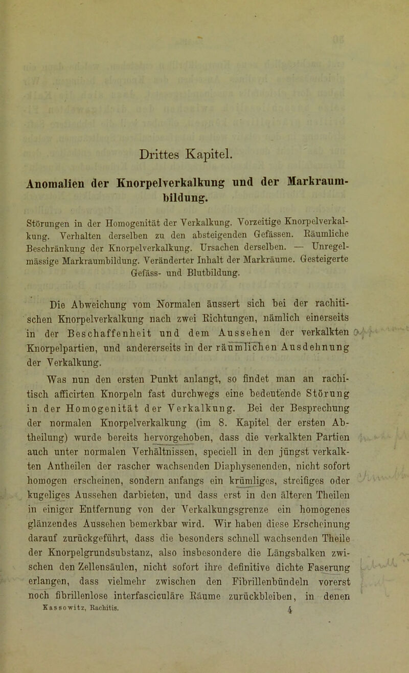 Drittes Kapitel. Anomalien der Knorpelverkalkung und der Markraum- bildung. Störungen in der Homogenität der Verkalkung. Vorzeitige Knorpelverkal- kung. Verhalten derselben zu den absteigenden Gefässen. Räumliche Beschränkung der Knorpelverkalkung. Ursachen derselben. — Unregel- mässige Markraumbildung. Veränderter Inhalt der Markräume. Gesteigerte Gefäss- und Blutbildung. Die Abweichung vom Normalen äussert sich bei der rachiti- schen Knorpelverkalkung nach zwei Richtungen, nämlich einerseits in der Beschaffenheit und dem Aussehen der verkalkten £>-' Knorpelpartien, und andererseits in der räumlichen Ausdehnung der Verkalkung. Was nun den ersten Punkt anlangt, so findet man an rachi- tisch afficirten Knorpeln fast durchwegs eine bedeutende Störung in der Homogenität der Verkalkung. Bei der Besprechung der normalen Knorpelverkalkung (im 8. Kapitel der ersten Ab- theilung) wurde bereits hervorgehoben, dass die verkalkten Partien auch unter normalen Verhältnissen, speciell in den jüngst verkalk- ten Antheilen der rascher wachsenden Diaphysenenden, nicht sofort homogen erscheinen, sondern anfangs ein krümliges, streifiges oder kugeliges Aussehen darbieton, und dass erst in den älteren Thoilen in einiger Entfernung von der Verkalkungsgrenze ein homogenes glänzendes Aussehen bemerkbar wird. Wir haben diese Erscheinung darauf zurückgeführt, dass die besonders schnell wachsenden Theile der Knorpelgrundsubstanz, also insbesondere die Längsbalken zwi- schen den Zellensäulen, nicht sofort ihre definitive dichte Faserung erlangen, dass vielmehr zwischen den Fibrillenbündeln vorerst noch fibrillenlose interfasciculäre Räume Zurückbleiben, in denen Kas sowitz, Rachitis. z