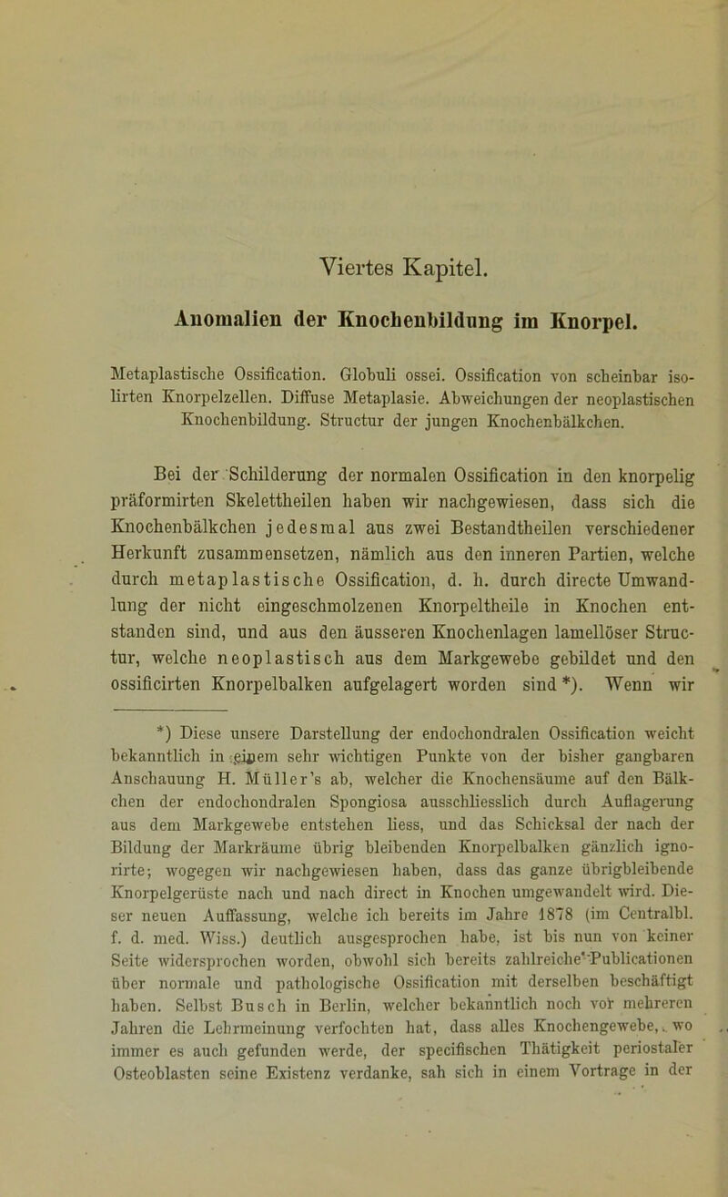 Viertes Kapitel. Anomalien der Knochen Bildung im Knorpel. Metaplastische Ossification. Globuli ossei. Ossification von scheinbar iso- lirten Knorpelzellen. Diffuse Metaplasie. Abweichungen der neoplastischen Knochenbildung. Structur der jungen Knochenbälkchen. Bei der Schilderung der normalen Ossification in den knorpelig präformirten Skelettheilen haben wir nachgewiesen, dass sich die Knochenbälkchen jedesmal aus zwei Bestandtheilen verschiedener Herkunft zusammensetzen, nämlich aus den inneren Partien, welche durch metaplastische Ossification, d. h. durch directe Umwand- lung der nicht eingeschmolzenen Knorpeltheile in Knochen ent- standen sind, und aus den äusseren Knochenlagen lamellöser Struc- tur, welche neoplastisch aus dem Markgewebe gebildet und den ossificirten Knorpelbalken aufgelagert worden sind *). Wenn wir *) Diese unsere Darstellung der endochondralen Ossification weicht bekanntlich in gijjem sehr -wichtigen Punkte von der bisher gangbaren Anschauung H. Müll er’s ab, welcher die Knochensäume auf den Bälk- clien der endochondralen Spongiosa ausschliesslich durch Auflagerung aus dem Markgewebe entstehen liess, und das Schicksal der nach der Bildung der Markräume übrig bleibenden Knorpelbalken gänzlich igno- rirte; wogegen wir nachgewiesen haben, dass das ganze übrigbleibende Knorpelgerüste nach und nach direct in Knochen umgewandelt wird. Die- ser neuen Auffassung, welche ich bereits im Jahre 1878 (im Centralbl. f. d. med. Wiss.) deutlich ausgesprochen habe, ist bis nun von keiner Seite widersprochen worden, obwohl sich bereits zahlreiche'Publicationen über normale und pathologische Ossification mit derselben beschäftigt haben. Selbst Busch in Berlin, welcher bekanntlich noch vor mehreren Jahren die Lehrmeinung verfochten hat, dass alles Knochengewebe,, wo immer es auch gefunden werde, der specifischen Thätigkeit periostaler Osteoblasten seine Existenz verdanke, sah sich in einem Vorträge in der