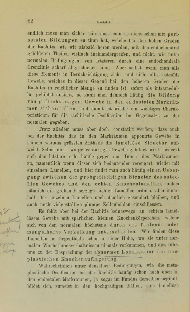 k>f endlich muss man sicher sein, dass man es nicht schon mit peri- ostalen Bildungen zu thun hat, welche hei den hohen Graden der Rachitis, wie wir alsbald hören werden, mit den endochondral gebildeten Theilen vielfach incinandergreifen, und nicht, wie unter normalen Bedingungen, von letzteren durch eine endochondrale Grenzlinie scharf abgeschieden sind. Aber selbst wenn man alle diese Momente in Berücksichtigung zieht, und nicht alles osteoide Gewebe, welches in dieser Gegend bei den höheren Graden der Rachitis in reichlicher Menge zu finden ist, sofort als intramedul- lär gebildet ansieht, so kann man dennoch häufig die Bildung von geflechtartigem Gewebe in den endostalen Markräu- men sich er stellen, und damit ist wieder ein wichtiges Charak- teristicum für die rachitische Ossification im Gegensätze zu der normalen gegeben. Trotz alledem muss aber doch constatirt werden, dass auch bei der Rachitis das in den Markräumen apponirte Gewebe in seinem weitaus grössten Antheile die lamellöse Structur auf- weist. Selbst dort, wo geflechtartiges Gewebe gebildet wird, bedeckt sich das letztere sehr häufig gegen das Innere des Markraumes zu, namentlich wenn dieser sich bedeutender verengert, wieder mit einzelnen Lamellen, und hier findet man auch häufig einen Ueber- gang zwischen der grobgeflechtigen Structur des osteo- iden Gewebes und den echten Knochenlamellen, indem nämlich die groben Faserzüge sich zu Lamellen ordnen, aber inner- halb der einzelnen Lamellen noch deutlich gesondert bleiben, und auch noch vielgestaltige plumpe Zellenhöhlen einschliessen. Es fehlt aber bei der Rachitis keineswegs an echtem larnel- lösem Gewebe mit spärlichen kleinen Knochenkörperchen, welche sich von den normalen höchstens durch die fehlende oder mangelhafte Verkalkung unterscheiden. Wir finden diese Lamellen im Gegentheilo schon in einer Höhe, wo sie unter nor- malen Wachsthumsverhältnissen niemals Vorkommen, und dies führt uns zu der Besprechung der abnormen LocaLisation dor neo- plastischen Knochen au flagerung. Wahrscheinlich unter denselben Bedingungen, wie die meta- plastische Ossification bei der Rachitis häufig schon hoch oben in den endostalen Markräumen, ja sogar im Fundus derselben beginnt, bildet sich, zumeist in den hochgradigen Fällen, eine lamellöse