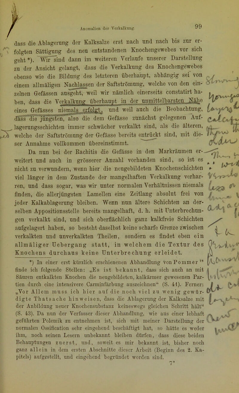 dass die Ablagerung der Kalksalze erst nach und nach bis zur er- folgten Sättigung des neu entstandenen Knochengowebes vor sich geht*). Wir sind dann im weiteren Verlaufe unserer Darstellung zu der Ansicht gelangt, dass die Verkalkung des Knochengewebes ebenso wie die Bildung des letzteren überhaupt, abhängig sei von einem allmäligen Nachlassen der Saftströmung, welche von den ein- zelnen Gefässen ausgeht, weil wir nämlich einerseits constatirt ha- ben, dass die Verkalkung überhaupt in der unmittelbarsten. eines Gefässes niemals erfojgtj und weil auch die Beobachtung, dass die jüngsten, also die dem Gefässe zunächst gelegenen Aut- lagerungsschichten immer schwächer verkalkt sind, als die älteren, welche der Saftströmung der Gefässe bereits entrückt sind, mit die- ser Annahme vollkommen übereinstimmt. Da nun bei der Rachitis die Gefässe in den Markräumen er- weitert und auch in grösserer Anzahl vorhanden sind, so ist es nicht zu verwundern, wenn hier die neugebildeten Knochenschichten viel länger in dem Zustande der mangelhaften Verkalkung verhar- ren, und dass sogar, was wir unter normalen Verhältnissen niemals finden, die allerjüngsten Lamellen eine Zeitlang absolut frei von jeder Kalkablagerung bleiben. Wenn nun ältere Schichten an der- selben Appositionsstelle bereits mangelhaft, d. h. mit Unterbrechun- gen verkalkt sind, und sich oberflächlich ganz kalkfreie Schichten aufgelagert haben, so besteht daselbst keine scharfe Grenze zwischen verkalkten und unverkalkten Theilen, sondern es findet eben ein allmäliger Uebergang statt, in welchem die Textur des Knochens durchaus keine Unterbrechung erleidet. ^Tvv-v~—A c^c*-h: *) In einer erst kürzlich erschienenen Abhandlung von Pommer 78 finde ich folgende Stellen: „Es ist bekannt, dass sich auch an mit Säuren entkalkten Knochen die neugebildeten, kalkärmer gewesenen Par- tien durch eine intensivere Carminfärbung auszeichnen“ (S. 41). Ferner: „Vor Allem muss ich hier auf die noch viel zu wenig gewür- digte Thatsache hinweisen, dass die Ablagerung der Kalksalze mit der Anbildung neuer Knochensubstanz keineswegs gleichen Schritt hält“ (S. 43). Da nun der Verfasser dieser Abhandlung, wie aus einer lebhaft geführten Polemik zu entnehmen ist, sich mit meiner Darstellung der normalen Ossification sehr eingehend beschäftigt hat, so hätte es weder ihm, noch seinen Lesern unbekannt bleiben dürfen, dass diese beiden Behauptungen zuerst, und, soweit es mir bekannt ist, bisher noch ganz allein in dem ersten Abschnitte dieser Arbeit (Beginn des 2. Ka- pitels) aufgestellt, und eingehend begründet worden sind. JL* L V Mmmm (V* f& 1