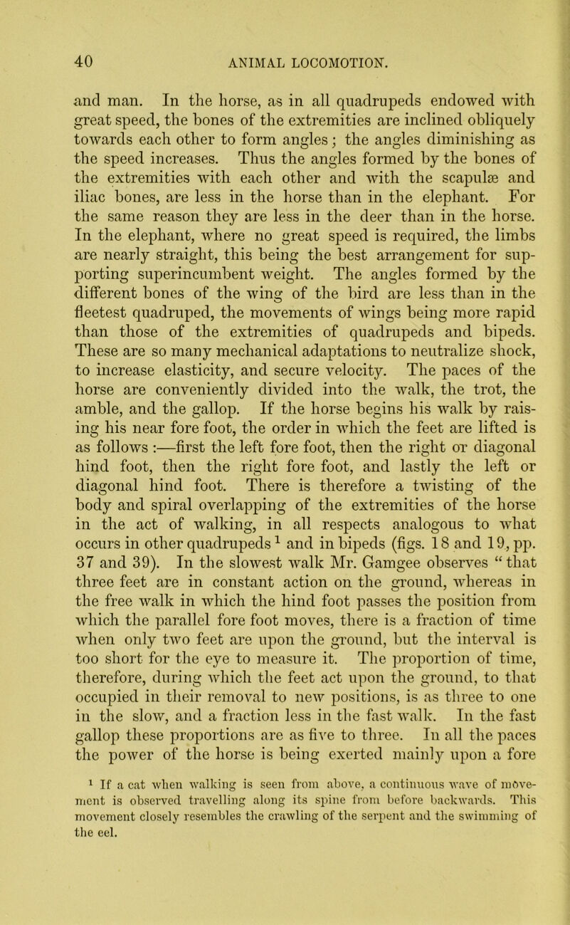 and man. In the horse, as in all quadrupeds endowed with great speed, the hones of the extremities are inclined obliquely towards each other to form angles; the angles diminishing as the speed increases. Thus the angles formed by the bones of the extremities with each other and with the scapulae and iliac bones, are less in the horse than in the elephant. For the same reason they are less in the deer than in the horse. In the elephant, where no great speed is required, the limbs are nearly straight, this being the best arrangement for sup- porting superincumbent weight. The angles formed by the different bones of the wing of the bird are less than in the fleetest quadruped, the movements of wings being more rapid than those of the extremities of quadrupeds and bipeds. These are so many mechanical adaptations to neutralize shock, to increase elasticity, and secure velocity. The paces of the horse are conveniently divided into the walk, the trot, the amble, and the gallop. If the horse begins his walk by rais- ing his near fore foot, the order in which the feet are lifted is as follows :—first the left fore foot, then the right or diagonal hind foot, then the right fore foot, and lastly the left or diagonal hind foot. There is therefore a twisting of the body and spiral overlapping of the extremities of the horse in the act of walking, in all respects analogous to what occurs in other quadrupeds1 and in bipeds (figs. 18 and 19, pp. 37 and 39). In the slowest walk Mr. Gamgee observes “that three feet are in constant action on the ground, whereas in the free walk in which the hind foot passes the position from which the parallel fore foot moves, there is a fraction of time when only two feet are upon the ground, but the interval is too short for the eye to measure it. The proportion of time, therefore, during which the feet act upon the ground, to that occupied in their removal to new positions, is as three to one in the slow, and a fraction less in the fast walk. In the fast gallop these proportions are as five to three. In all the paces the power of the horse is being exerted mainly upon a fore 1 If a cat when walking is seen from above, a continuous wave of move- ment is observed travelling along its spine from before backwards. This movement closely resembles the crawling of the serpent and the swimming of the eel.