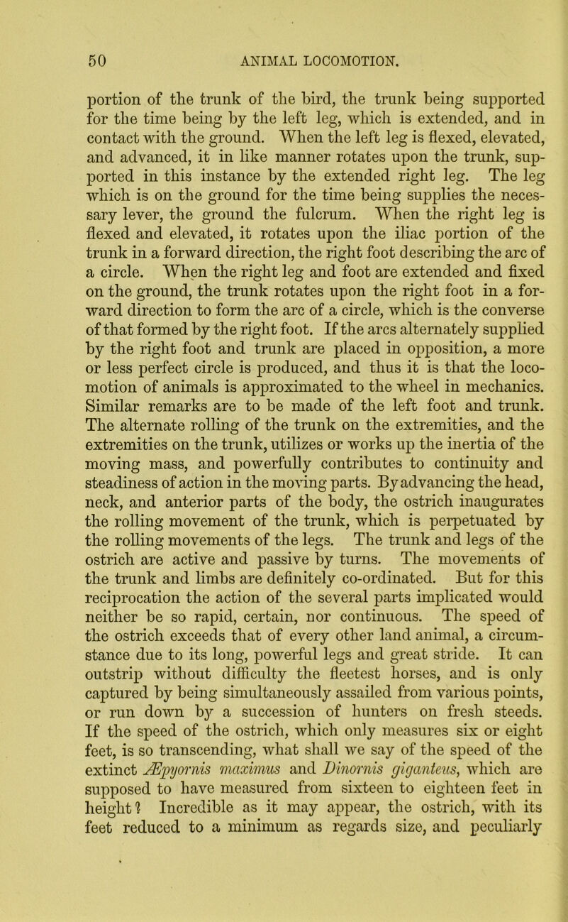 portion of the trunk of the bird, the trunk being supported for the time being by the left leg, which is extended, and in contact with the ground. When the left leg is flexed, elevated, and advanced, it in like manner rotates upon the trunk, sup- ported in this instance by the extended right leg. The leg which is on the ground for the time being supplies the neces- sary lever, the ground the fulcrum. When the right leg is flexed and elevated, it rotates upon the iliac portion of the trunk in a forward direction, the right foot describing the arc of a circle. When the right leg and foot are extended and fixed on the ground, the trunk rotates upon the right foot in a for- ward direction to form the arc of a circle, which is the converse of that formed by the right foot. If the arcs alternately supplied by the right foot and trunk are placed in opposition, a more or less perfect circle is produced, and thus it is that the loco- motion of animals is approximated to the wheel in mechanics. Similar remarks are to be made of the left foot and trunk. The alternate rolling of the trunk on the extremities, and the extremities on the trunk, utilizes or works up the inertia of the moving mass, and powerfully contributes to continuity and steadiness of action in the moving parts. By advancing the head, neck, and anterior parts of the body, the ostrich inaugurates the rolling movement of the trunk, which is perpetuated by the rolling movements of the legs. The trunk and legs of the ostrich are active and passive by turns. The movements of the trunk and limbs are definitely co-ordinated. But for this reciprocation the action of the several parts implicated would neither be so rapid, certain, nor continuous. The speed of the ostrich exceeds that of every other land animal, a circum- stance due to its long, powerful legs and great stride. It can outstrip without difficulty the fleetest horses, and is only captured by being simultaneously assailed from various points, or run down by a succession of hunters on fresh steeds. If the speed of the ostrich, which only measures six or eight feet, is so transcending, what shall we say of the speed of the extinct JEpyornis maximus and Dinornis giganteus, which are supposed to have measured from sixteen to eighteen feet in heights Incredible as it may appear, the ostrich, with its feet reduced to a minimum as regards size, and peculiarly