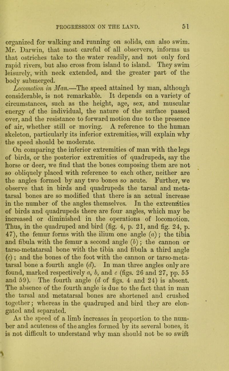 organized for walking and running on solids, can also swim. Mr. Darwin, tliat most careful of all observers, informs us that ostriches take to the water readily, and not only ford rapid rivers, but also cross from island to island. They swim leisurely, with neck extended, and the greater part of the body submerged. Locomotion in Man.—The speed attained by man, although considerable, is not remarkable. It depends on a variety of circumstances, such as the height, age, sex, and muscular energy of the individual, the nature of the surface passed over, and the resistance to forward motion due to the presence of air, whether still or moving. A reference to the human skeleton, particularly its inferior extremities, will explain why the speed should be moderate. On comparing the inferior extremities of man with the legs of birds, or the posterior extremities of quadrupeds, say the horse or deer, we find that the bones composing them are not so obliquely placed with reference to each other, neither are the angles formed by any two bones so acute. Further, we observe that in birds and quadrupeds the tarsal and meta- tarsal bones are so modified that there is an actual increase in the number of the angles themselves. In the extremities of birds and quadrupeds there are four angles, which may be increased or diminished in the operations of locomotion. Thus, in the quadruped and bird (fig. 4, p. 21, and fig. 24, p. 47), the femur forms with the ilium one angle (a) ; the tibia and fibula with the femur a second angle (b); the cannon or tarso-metatarsal bone with the tibia and fibula a third angle (c); and the bones of the foot with the cannon or tarso-meta- tarsal bone a fourth angle (d). In man three angles only are found, marked respectively a, b, and c (figs. 26 and 27, pp. 55 and 59). The fourth angle (cl of figs. 4 and 24) is absent. The absence of the fourth angle is due to the fact that in man the tarsal and metatarsal bones are shortened and crushed together; whereas in the quadruped and bird they are elon- gated and separated. As the speed of a limb increases in proportion to the num- ber and acuteness of the angles formed by its several bones, it is not difficult to understand why man should not be so swift