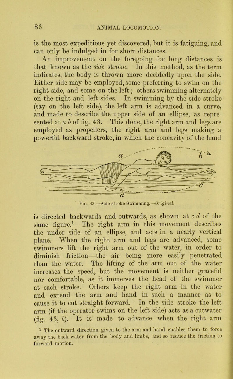 is the most expeditious yet discovered, but it is fatiguing, and can only be indulged in for short distances. An improvement on the foregoing for long distances is that known as the side stroke. In this method, as the term indicates, the body is thrown more decidedly upon the side. Either side may be employed, some preferring to swim on the right side, and some on the left; others swimming alternately on the right and left sides. In swimming by the side stroke (say on the left side), the left arm is advanced in a curve, and made to describe the upper side of an ellipse, as repre- sented at a & of fig. 43. This done, the right arm and legs are employed as propellers, the right arm and legs making a powerful backward stroke, in which the concavity of the hand is directed backwards and outwards, as shown at c d of the same figure.1 The right arm in this movement describes the under side of an ellipse, and acts in a nearly vertical plane. When the right arm and legs are advanced, some swimmers lift the right arm out of the water, in order to diminish friction—the air being more easily penetrated than the water. The lifting of the arm out of the water increases the speed, but the movement is neither graceful nor comfortable, as it immerses the head of the swimmer at each stroke. Others keep the right arm in the water and extend the arm and hand in such a manner as to cause it to cut straight forward. In the side stroke the left arm (if the operator swims on the left side) acts as a cutwater (fig. 43, b). It is made to advance when the right arm 1 The outward direction given to the arm and hand enables them to force away the back water from the body and limbs, and so reduce the friction to forward motion.