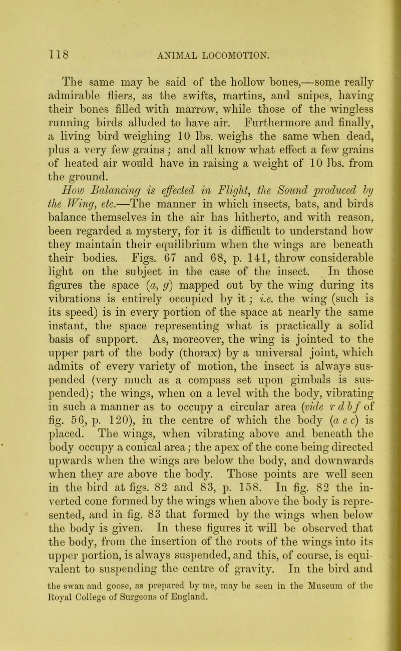 The same may be said of the hollow bones,—some really admirable fliers, as the swifts, martins, and snipes, having their bones filled with marrow, while those of the wingless running birds alluded to have air. Furthermore and finally, a living bird weighing 10 lbs. weighs the same when dead, plus a very few grains ; and all know what effect a few grains of heated air would have in raising a weight of 10 lbs. from the ground. How Balancing is effected in Flight, the Sound produced by the Wing, etc.—The manner in which insects, bats, and birds balance themselves in the air has hitherto, and with reason, been regarded a mystery, for it is difficult to understand how they maintain their equilibrium when the wings are beneath their bodies. Figs. 67 and 68, p. 141, throw considerable light on the subject in the case of the insect. In those figures the space (a, g) mapped out by the wing during its vibrations is entirely occupied by it; i.e. the wing (such is its speed) is in every portion of the space at nearly the same instant, the space representing what is practically a solid basis of support. As, moreover, the wing is jointed to the upper part of the body (thorax) by a universal joint, which admits of every variety of motion, the insect is always sus- pended (very much as a compass set upon gimbals is sus- pended) ; the wings, when on a level with the body, vibrating in such a manner as to occupy a circular area (vide r dbf of fig. 56, p. 120), in the centre of which the body (a e c) is placed. The wings, when vibrating above and beneath the body occupy a conical area; the apex of the cone being directed upwards when the wings are below the body, and downwards when they are above the body. Those points are well seen in the bird at figs. 82 and 83, p. 158. In fig. 82 the in- verted cone formed by the wings when above the body is repre- sented, and in fig. 83 that formed by the wings when below the body is given. In these figures it will be observed that the body, from the insertion of the roots of the wings into its upper portion, is always suspended, and this, of course, is equi- valent to suspending the centre of gravity. In the bird and the swan and goose, as prepared by me, may be seen in the Museum of the Royal College of Surgeons of England.