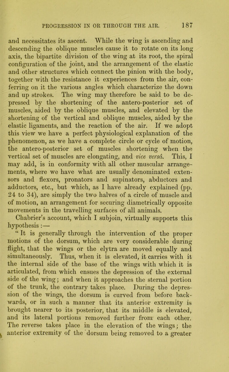 and necessitates its ascent. While the wing is ascending and descending the oblique muscles cause it to rotate on its long axis, the bipartite division of the wing at its root, the spiral configuration of the joint, and the arrangement of the elastic and other structures which connect the pinion with the body, together with the resistance it experiences from the air, con- ferring on it the various angles which characterize the down and up strokes. The wing may therefore be said to be de- pressed by the shortening of the antero-posterior set of muscles, aided by the oblique muscles, and elevated by the shortening of the vertical and oblique muscles, aided by the elastic ligaments, and the reaction of the air. If we adopt this view we have a perfect physiological explanation of the phenomenon, as we have a complete circle or cycle of motion, the antero-posterior set of muscles shortening when the vertical set of muscles are elongating, and vice versa. This, I may add, is in conformity with all other muscular arrange- ments, where we have what are usually denominated exten- sors and flexors, pronators and supinators, abductors and adductors, etc., but which, as I have already explained (pp. 24 to 34), are simply the two halves of a circle of muscle and of motion, an arrangement for securing diametrically opposite movements in the travelling surfaces of all animals. Chabrier’s account, which I subjoin, virtually supports this hypothesis :— “ It is generally through the intervention of the proper motions of the dorsum, which are very considerable during flight, that the wings or the elytra are moved equally and simultaneously. Thus, when it is elevated, it carries with it the internal side of the base of the wings with which it is articulated, from which ensues the depression of the external side of the wing; and when it approaches the sternal portion of the trunk, the contrary takes place. During the depres- sion of the wings, the dorsum is curved from before back- wards, or in such a manner that its anterior extremity is brought nearer to its posterior, that its middle is elevated, and its lateral portions removed further from- each other. The reverse takes place in the elevation of the wings; the anterior extremity of the dorsum being removed to a greater