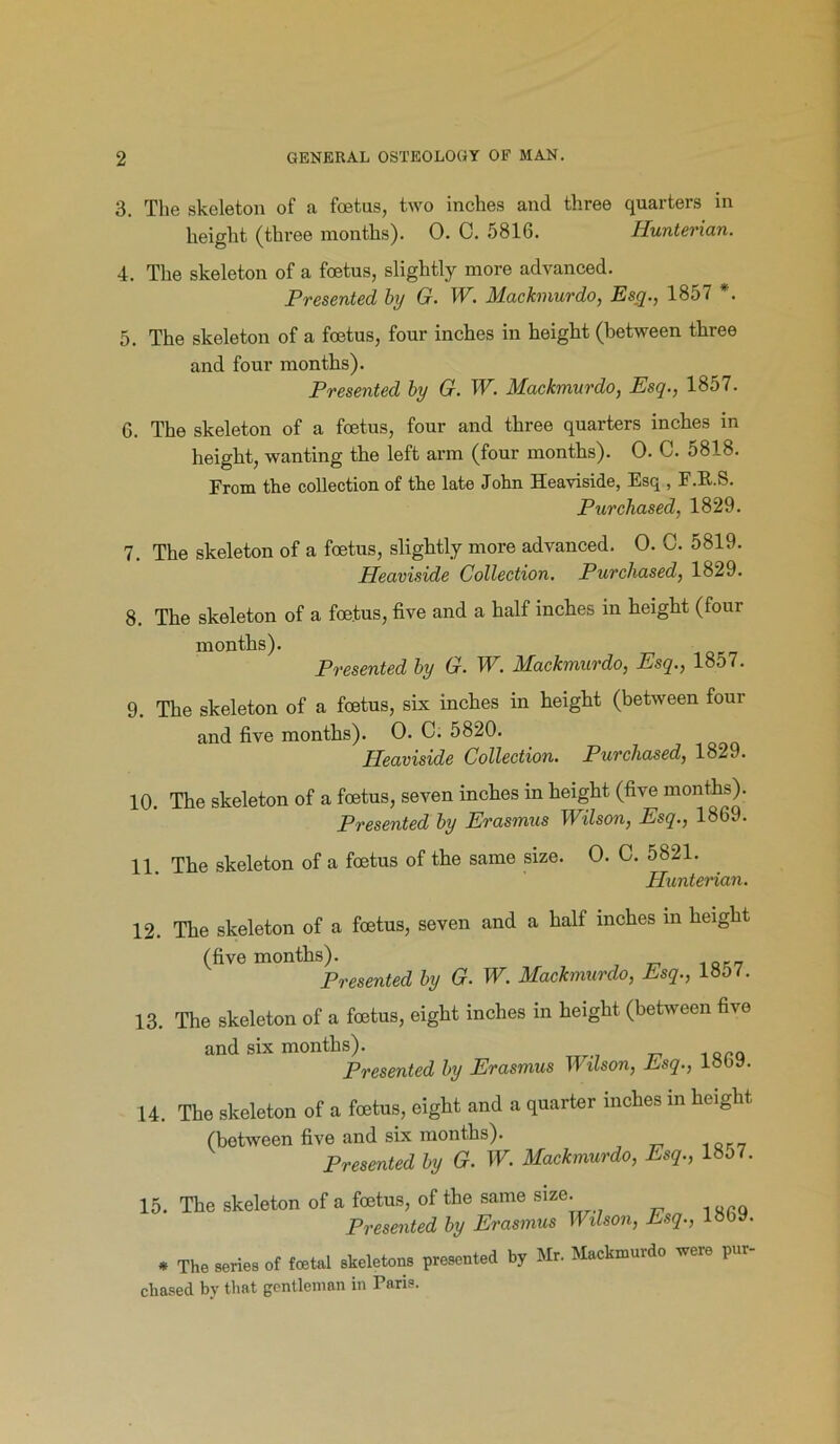 3. The skeleton of a foetus, two inches and three quarters in height (three months). 0. C. 5816. Hunterian. 4. The skeleton of a foetus, slightly more advanced. Presented by G. W. Mackmurdo, Esq., 1857 *. 5. The skeleton of a foetus, four inches in height (between three and four months). Presented by G. W. Mackmurdo, Esq., 1857. G. The skeleton of a foetus, four and three quarters inches in height, wanting the left arm (four months). 0. C. 5818. From the collection of the late John Heaviside, Esq , F.R.8. Purchased, 1829. 7. The skeleton of a foetus, slightly more advanced. 0. C. 5819. Heaviside Collection. Purchased, 1829. 8. The skeleton of a foetus, five and a half inches in height (four months). Presented by Gr. W. Mackmurdo, Esq., lo57. 9. The skeleton of a foetus, six inches in height (between four and five months). 0. C. 5820. Heaviside Collection. Purchased, 1829. 10. The skeleton of a foetus, seven inches in height (five mont^)- Presented by Erasmus Ti ilson, Esq., 186... 11. The skeleton of a foetus of the same size. 0. C. 5821. Hunterian. 12. The skeleton of a foetus, seven and a half inches in height (five months). Presented by G. W. Mackmurdo, Esq., 18D/. 13. The skeleton of a foetus, eight inches in height (between five and six months). Presented by Erasmus TT ilson, Esq., loby. 14. The skeleton of a foetus, eight and a quarter inches in height (between five and six months). Presented by G. W. Mackmurdo, Esq., 18o7. 15. The skeleton of a foetus, of the same size. Presented by Erasmus Wilson, Esq., loby. * The series of total skeletons presented by Mr. Mackmurdo were pur- chased by that gentleman in Paris.