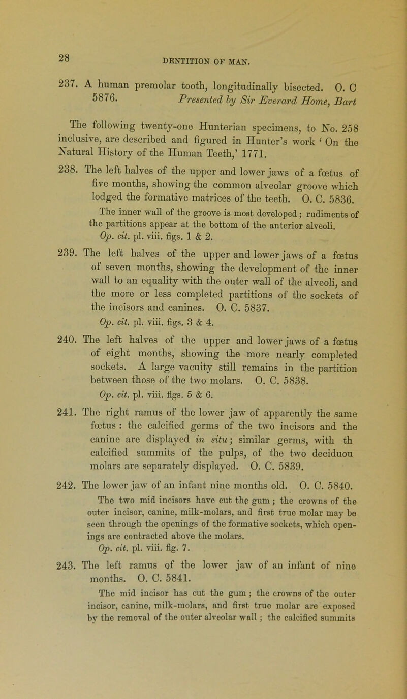 DENTITION OF MAN. 237. A human premolar tooth, longitudinally bisected. 0. C 5876. Presented by Sir Everard Home, Bart The following twenty-one Hunterian specimens, to No. 258 inclusive, are described and figured in Hunter’s work ‘ On the Natural History of the Human Teeth,’ 1771. 238. The left halves of the upper and lower jaws of a foetus of five months, showing the common alveolar groove which lodged the formative matrices of the teeth. 0. C. 5836. The inner wall of the groove is most developed; rudiments of the partitions appear at the bottom of the anterior alveoli. Op. cit. pi. viii. figs. 1 & 2. 239. The left halves of the upper and lower jaws of a foetus of seven months, showing the development of the inner wall to an equality with the outer wall of the alveoli, and the more or less completed partitions of the sockets of the incisors and canines. 0. C. 5837. Op. cit. pi. viii. figs. 3 & 4. 240. The left halves of the upper and lower jaws of a foetus of eight months, showing the more nearly completed sockets. A large vacuity still remains in the partition between those of the two molars. 0. C. 5838. Op. cit. pi. viii. figs. 5 & 6. 241. The right ramus of the lower jaw of apparently the same foetus : the calcified germs of the two incisors and the canine are displayed in situ-, similar germs, with th calcified summits of the pulps, of the two deciduou molars are separately displayed. 0. C. 5839. 242. The lower jaw of an infant nine months old. 0. C. 5840. The two mid incisors have cut the gum ; the crowns of the outer incisor, canine, milk-molars, and first true molar may be seen through the openings of the formative sockets, which open- ings are contracted above the molars. Op. cit. pi. viii. fig. 7. 243. The left ramus of the lower jaw of an infant of nine months. 0. C. 5841. The mid incisor has cut the gum; the crowns of the outer incisor, canine, milk-molars, and first true molar are exposed by the removal of the outer alveolar wall; the calcified summits