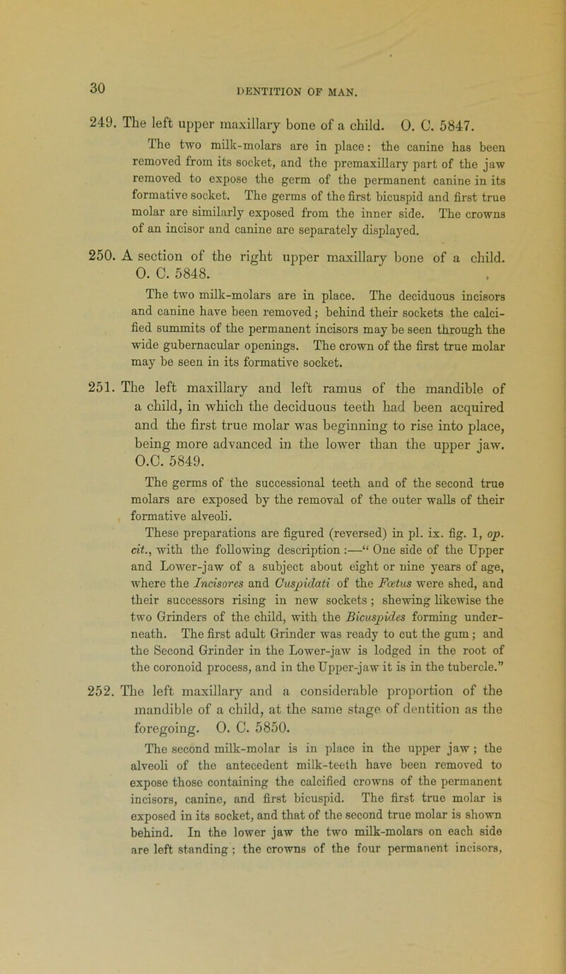 249. The left upper maxillary bone of a child. 0. C. 5847. The two milk-molars are in place: the canine has been removed from its socket, and the premaxillary part of the jaw removed to expose the germ of the permanent canine in its formative socket. The germs of the first bicuspid and first true molar are similarly exposed from the inner side. The crowns of an incisor and canine are separately displayed. 250. A section of the right upper maxillary bone of a child. 0. C. 5848. The two milk-molars are in place. The deciduous incisors and canine have been removed; behind their sockets the calci- fied summits of the permanent incisors may he seen through the wide gubernacular openings. The crown of the first true molar may he seen in its formative socket. 251. The left maxillary and left ramus of the mandible of a child, in which the deciduous teeth had been acquired and the first true molar was beginning to rise into place, being more advanced in the lower than the upper jaw. O.C. 5849. The germs of the successional teeth and of the second true molars are exposed hy the removal of the outer walls of their formative alveoli. These preparations are figured (reversed) in pi. ix. fig. 1, op. cit., with the following description :—“ One side of the Upper and Lower-jaw of a subject about eight or nine years of age, where the Incisores and Guspiclati of the Foetus were shed, and their successors rising in new sockets; shewing likewise the two Grinders of the child, with the Bicuspides forming under- neath. The first adult Grinder was ready to cut the gum; and the Second Grinder in the Lower-jaw is lodged in the root of the coronoid process, and in the Upper-jaw it is in the tubercle.” 252. The left maxillary and a considerable proportion of the mandible of a child, at the same stage of dentition as the foregoing. 0. C. 5850. The second milk-molar is in place in the upper jaw; the alveoli of the antecedent milk-teeth have been removed to expose those containing the calcified crowns of the permanent incisors, canine, and first bicuspid. The first true molar is exposed in its socket, and that of the second true molar is shown behind. In the lower jaw the two milk-molars on each side are left standing ; the crowns of the four permanent incisors,