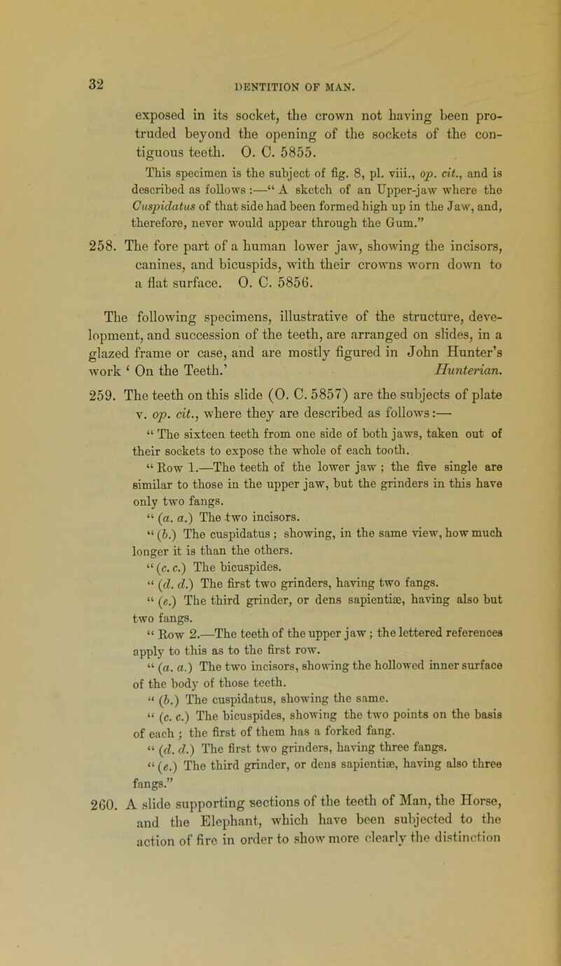 exposed in its socket, the crown not having been pro- truded beyond the opening of the sockets of the con- tiguous teeth. 0. C. 5855. This specimen is the subject of fig. 8, pi. viii., op. cit., and is described as follows :—“ A sketch of an Upper-jaw where the Cuspidatus of that side had been formed high up in the Jaw, and, therefore, never would appear through the Gum.” 258. The fore part of a human lower jaw, showing the incisors, canines, and bicuspids, with their crowns worn down to a flat surface. 0. C. 5856. The following specimens, illustrative of the structure, deve- lopment, and succession of the teeth, are arranged on slides, in a glazed frame or case, and are mostly figured in John Hunter’s work ‘ On the Teeth.’ Hunterian. 259. The teeth on this slide (0. C. 5857) are the subjects of plate v. op. cit., where they are described as follows:— “ The sixteen teeth from one side of both jaws, taken out of their sockets to expose the whole of each tooth. “ Row 1.—The teeth of the lower jaw ; the five single are similar to those in the upper jaw, hut the grinders in this have only two fangs. “ (a. a.) The two incisors. “ (b.) The cuspidatus ; showing, in the same view, how much longer it is than the others. “ (c. c.) The bicuspides. “ (d. d.) The first two grinders, having two fangs. “ (e.) The third grinder, or dens sapienti®, having also hut two fangs. “ Row 2.—The teeth of the upper jaw; the lettered references apply to this as to the first row. “ (a. a.) The two incisors, showing the hollowed inner surface of the body of those teeth. “ (b.) The cuspidatus, showing the same. “ (c. c.) The bicuspides, showing the two points on the basis of each ; the first of them has a forked fang. “ (cl. d.) The first two grinders, having three fangs. “ (e.) The third grinder, or dens sapienti®, having also three fangs.” 260. A slide supporting sections of the teeth of Man, the Horse, and the Elephant, which have been subjected to the action of fire in order to show more clearly the distinction