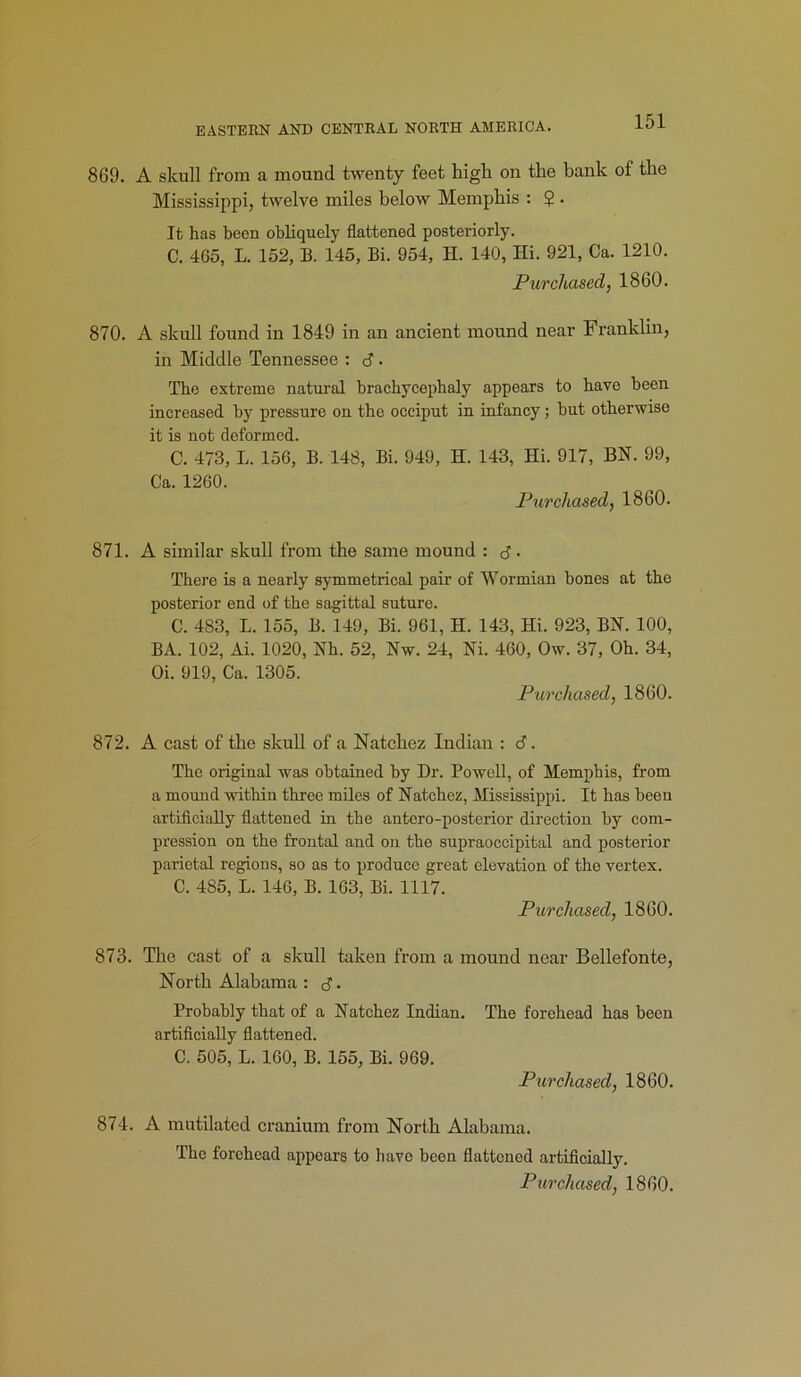 869. A skull from a mound twenty feet high on the bank of the Mississippi, twelve miles below Memphis : 2 . It has been obliquely flattened posteriorly. C. 465, L. 152, B. 145, Bi. 954, H. 140, Hi. 921, Ca. 1210. Purchased, 1860. 870. A skull found in 1849 in an ancient mound near Franklin, in Middle Tennessee : 3. The extreme natural bracbycephaly appears to have been increased by pressure on the occiput in infancy; but otherwise it is not deformed. C. 473, L. 156, B. 148, Bi. 949, H. 143, Hi. 917, BN. 99, Ca. 1260. Purchased, 1860. 871. A similar skull from the same mound : 3. There is a nearly symmetrical pair of Wormian hones at the posterior end of the sagittal suture. C. 483, L. 155, B. 149, Bi. 961, H. 143, Hi. 923, BN. 100, BA. 102, Ai. 1020, Nh. 52, Nw. 24, Ni. 460, Ow. 37, Oh. 34, Oi. 919, Ca. 1305. Purchased, 1860. 872. A cast of the skull of a Natchez Indian : 3. The original was obtained by Dr. Powell, of Memphis, from a mound within three miles of Natchez, Mississippi. It has been artificially flattened in the antero-posterior direction by com- pression on the frontal and on the supraoccipital and posterior parietal regions, so as to produce great elevation of the vertex. C. 485, L. 146, B. 163, Bi. 1117. Purchased, 1860. 873. The cast of a skull taken from a mound near Bellefonte, North Alabama : 3. Probably that of a Natchez Indian. The forehead has been artificially flattened. C. 505, L. 160, B. 155, Bi. 969. Purchased, 1860. 874. A mutilated cranium from North Alabama. The forehead appears to have been flattened artificially.