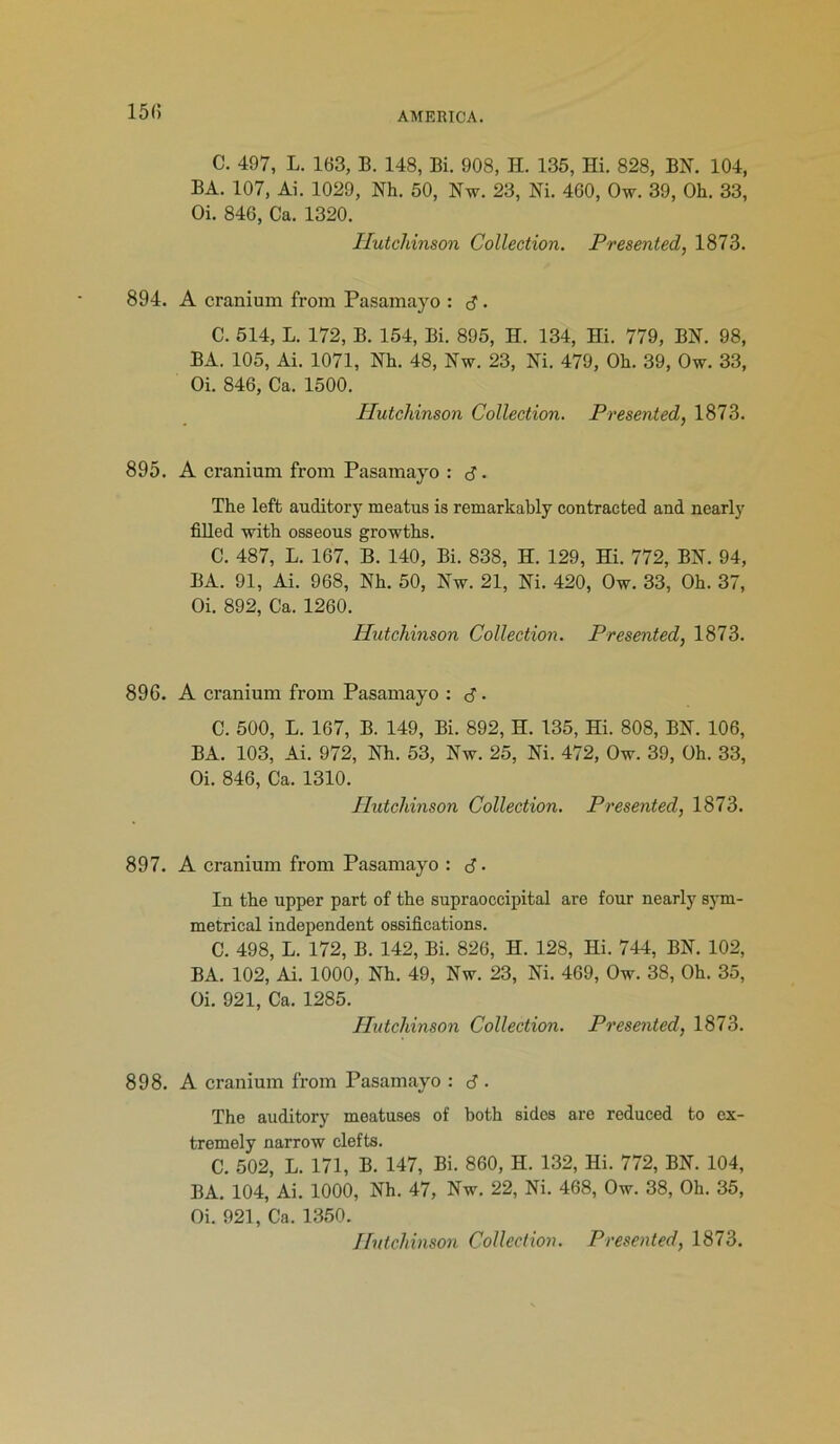 15(5 C. 497, L. 163, B. 148, Bi. 908, H. 135, Hi. 828, BN. 104, BA. 107, Ai. 1029, Nh. 50, Nw. 23, Ni. 460, Ow. 39, Oh. 33, Oi. 846, Ca. 1320. Hutchinson Collection. Presented, 1873. 894. A cranium from Pasamayo : d • C. 514, L. 172, B. 154, Bi. 895, H. 134, Hi. 779, BN. 98, BA. 105, Ai. 1071, Nh. 48, Nw. 23, Ni. 479, Oh. 39, Ow. 33, Oi. 846, Ca. 1500. Hutchinson Collection. Presented, 1873. 895. A cranium from Pasamayo : d- The left auditory meatus is remarkably contracted and nearly filled with osseous growths. C. 487, L. 167, B. 140, Bi. 838, H. 129, Hi. 772, BN. 94, BA. 91, Ai. 968, Nh. 50, Nw. 21, Ni. 420, Ow. 33, Oh. 37, Oi. 892, Ca. 1260. Hutchinson Collection. Presented, 1873. 896. A cranium from Pasamayo : d • C. 500, L. 167, B. 149, Bi. 892, H. 135, Hi. 808, BN. 106, BA. 103, Ai. 972, Nh. 53, Nw. 25, Ni. 472, Ow. 39, Oh. 33, Oi. 846, Ca. 1310. Hutchinson Collection. Presented, 1873. 897. A cranium from Pasamayo : d ■ In the upper part of the supraoccipital are four nearly sym- metrical independent ossifications. C. 498, L. 172, B. 142, Bi. 826, H. 128, Hi. 744, BN. 102, BA. 102, Ai. 1000, Nh. 49, Nw. 23, Ni. 469, Ow. 38, Oh. 35, Oi. 921, Ca. 1285. Hutchinson Collection. Presented, 1873. 898. A cranium from Pasamayo : d ■ The auditory meatuses of both sides are reduced to ex- tremely narrow clefts. C. 502, L. 171, B. 147, Bi. 860, H. 132, Hi. 772, BN. 104, BA. 104, Ai. 1000, Nh. 47, Nw. 22, Ni. 468, Ow. 38, Oh. 35, Oi. 921, Ca. 1350.