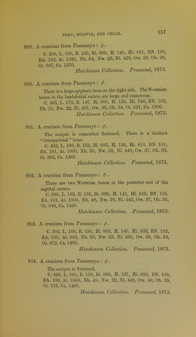 899. A cranium from Pasamayo : d • C. 500, L. 160, B. 155, Bi. 969, H. 141, Hi. 881, BN. 100, BA. 102, Ai. 1020, Nh. 54, Nw. 23, Ni. 426, Ow. 38, Oh. 36, Oi. 947, Ca. 1370. Ilutcldnson Collection. Presented, 1873. 900. A cranium from Pasamayo : d • There is a large epiptcric bone on the right side. Thel\ ormian bones in the lambdoidal suture are large and numerous. C. 495, L. 173, B. 140, Bi. 809, H. 129, Hi. 746, BN. 102, Nh. 51, Nw. 22, Ni. 431, Ow. 38, Oh. 34, Oi. 921, Ca. 1300. Hutchinson Collection. Presented, 1873. 901. A cranium from Pasamayo : d- The occiput is somewhat flattened. There is a distinct “ interparietal ” bone. C. 492, L. 168, B. 152, Bi. 905, H. 136, Hi. 810, BN. 101, BA. 101, Ai. 1000, Nh. 50, Nw. 22, Ni. 440, Ow. 37, Oh. 33, Oi. 892, Ca. 1380. Hutchinson Collection. Presented, 1873. 902. A cranium from Pasamayo : d. There are two Wormian bones in the posterior end of the sagittal suture. C. 500, L. 165, B. 155, Bi. 939, H. 141, Hi. 855, BN. 101, BA. 101, Ai. 1000, Nh. 48, Nw. 26, Ni. 542, Ow. 37, Oh. 35, Oi. 946, Ca. 1450. Hutchinson Collection. Presented, 1873. 903. A cranium from Pasamayo : d • C. 502, L. 168, B. 150, Bi. 893, H. 140, Hi. 833, BN. 102, BA. 100, Ai. 980, Nh. 50, Nw. 23, Ni. 460, Ow. 39, Oh. 34, Oi. 872, Ca. 1465. Hutchinson Collection. Presented, 1873. 904. A cranium from Pasamayo : d • The occiput is flattened. C. 495, L. 160, B. 158, Bi. 988, H. 137, Hi. 856, BN. 106, BA. 106, Ai. 1000, Nh. 49, Nw. 22, Ni. 449, Ow. 40, Oh. 35, Oi. 875, Ca. 1400.
