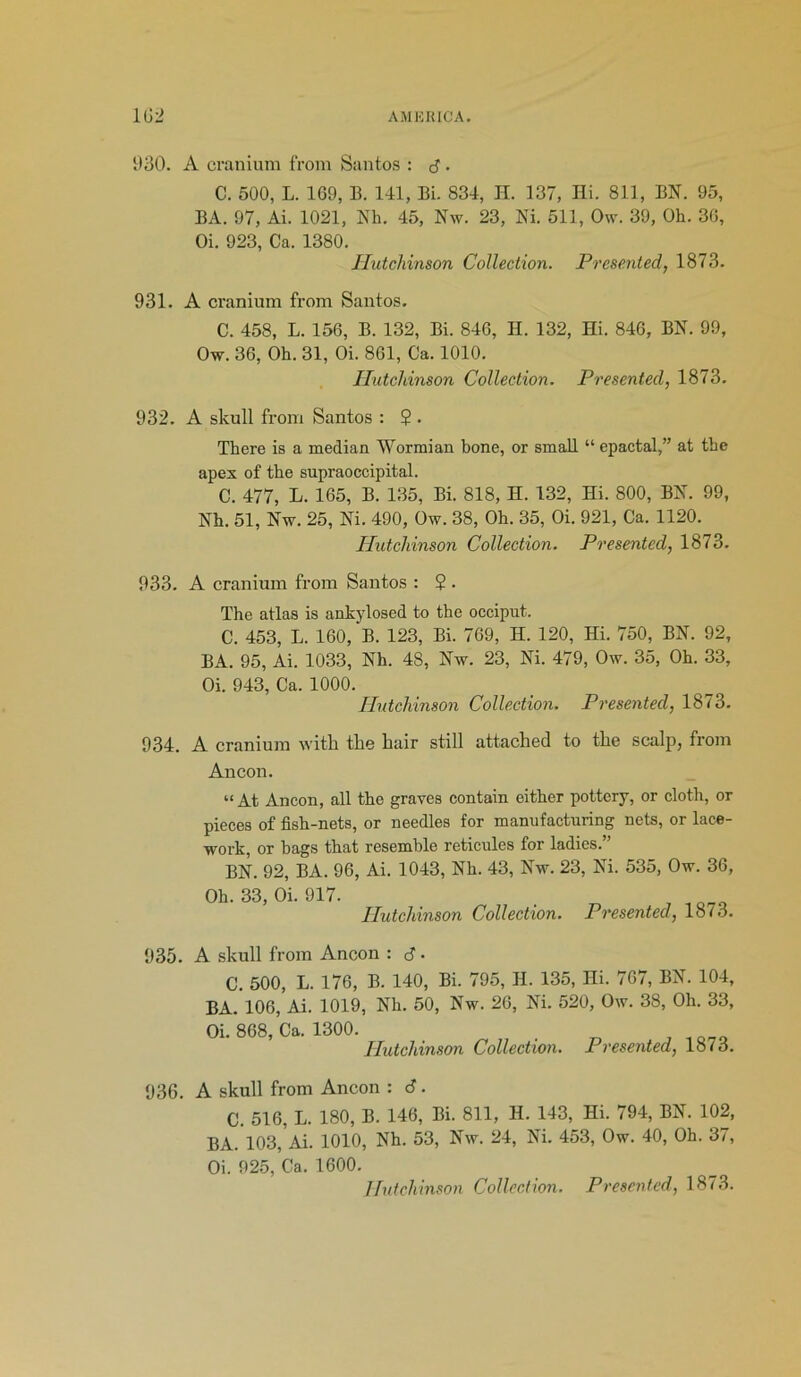 930. A cranium from Santos : <3 • C. 500, L. 169, B. 141, Bi. 834, H. 137, Hi. 811, BN. 95, BA. 97, Ai. 1021, Nh. 45, Nw. 23, Ni. 511, Ow. 39, Oh. 36, Oi. 923, Ca. 1380. Hutchinson Collection. Presented, 1873. 931. A cranium from Santos. C. 458, L. 156, B. 132, Bi. 846, H. 132, Hi. 846, BN. 99, Ow. 36, Oh. 31, Oi. 861, Ca. 1010. Hutchinson Collection. Presented, 1873. 932. A skull from Santos : 2 . There is a median Wormian bone, or small “ epactal,” at the apex of the supraoccipital. C. 477, L. 165, B. 135, Bi. 818, H. 132, Hi. 800, BN. 99, Nh. 51, Nw. 25, Ni. 490, Ow. 38, Oh. 35, Oi. 921, Ca. 1120. Hutchinson Collection. Presented, 1873. 933. A cranium from Santos : 2 • The atlas is ankylosed to the occiput. C. 453, L. 160, B. 123, Bi. 769, H. 120, Hi. 750, BN. 92, BA. 95, Ai. 1033, Nh. 48, Nw. 23, Ni. 479, Ow. 35, Oh. 33, Oi. 943, Ca. 1000. Hutchinson Collection. Presented, 1873. 934. A cranium with the hair still attached to the scalp, from Ancon. “At Ancon, all the graves contain either pottery, or cloth, or pieces of fish-nets, or needles for manufacturing nets, or lace- work, or hags that resemble reticules for ladies.” BN. 92, BA. 96, Ai. 1043, Nh. 43, Nw. 23, Ni. 535, Ow. 36, Oh. 33, Oi. 917. . , io,„ Hutchinson Collection. Presented, 1813. 935. A skull from Ancon : d ■ C. 500, L. 176, B. 140, Bi. 795, H. 135, Hi. 767, BN. 104, BA. 106, Ai. 1019, Nh. 50, Nw. 26, Ni. 520, Ow. 38, Oh. 33, Oi. 868, Ca. 1300. Hutchinson Collection. Presented, 1873. 936. A skull from Ancon : 6. C. 516, L. 180, B. 146, Bi. 811, H. 143, Hi. 794, BN. 102, BA. 103, Ai. 1010, Nh. 53, Nw. 24, Ni. 453, Ow. 40, Oh. 37, Oi. 925, Ca. 1600.