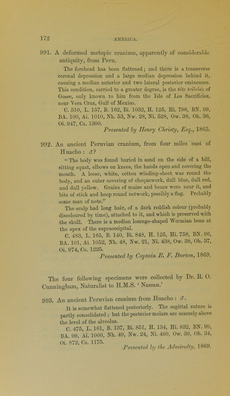 991. A deformed metopic cranium, apparently of considerable antiquity, from Peru. The forehead has been flattened; and there is a transverse coronal depression and a large median depression behind it, causing a median anterior and two lateral posterior eminences. This condition, carried to a greater degree, is the tete trilolee of Gosse, only known to him from the Isle of Los Sacrificios, near Yera Cruz, Gulf of Mexico. C. 510, L. 157, B. 162, Bi. 1032, H. 125, Hi. 796, BN. 99, BA. 100, Ai. 1010, Nh. 53, Nw. 28, Ni. 528, Ow. 38, Oh. 36, Oi. 947, Ca. 1300. Presented by Henry Christy, Esq., 18G5. 992. An ancient Peruvian cranium, from four miles east of Huacho : <J? “ The body was found buried in sand on the side of a hill, sitting squat, elbows on knees, the hands open and covering the mouth. A loose, white, cotton winding-sheet was round the body, and an outer covering of chequcwork, dull blue, dull red, and dull yellow. Grains of maize and beans were near it, and hits of stick and hoop round network, possibly a flag. Probably some man of note.” The scalp had long hair, of a dark reddish colour (probably discoloured by time), attached to it, and which is preserved with the skull. There is a median lozenge-shaped Wormian hone at the apex of the supraoccipital. C. 483, L. 165, B. 140, Bi. 848, H. 125, Hi. 758, BN. 96, BA. 101, Ai. 1052, Nh. 48, Nw. 21, Ni. 438, Ow. 38, Oh. 37, Oi. 974, Ca. 1225. Presented by Captain R. F. Burton, 1869. Tko four following specimens were collected by Dr. E. O. Cunningham, Naturalist to H.M.S. ‘ Nassau. 993. An ancient Peruvian cranium from Huacho : 6. It is somewhat flattened posteriorly. The sagittal suture is partly consolidated ; hut the posterior molars arc scarcely above the level of the alveolus. C. 475, L. 161, B. 137, Bi. 851, H. 134, Hi. 832, BN. 99, BA. 99, Ai. 1000, Nh. 49, Nw. 24, Ni. 490, Ow. 39, Oh. 34, Oi 872 Ca 117*5. Presented by the Admiralty, 1869.