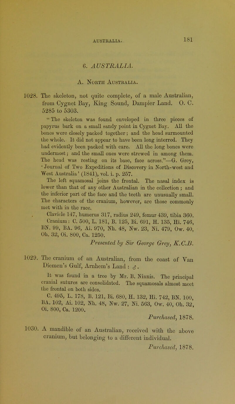 6. AUSTRALIA. A. North Australia. 1028. The skeleton, not quite complete, of a male Australian, from Cygnet Bay, King Sound, Dampier Land. 0. C. 5285 to 5303. “ The skeleton was found enveloped in three pieces of papyrus bark on a small sandy point in Cygnet Bay. All the bones were closely packed together; and the head surmounted the whole. It did not appear to have been long interred. They had evidently been packed with care. All the long bones were undermost; and the small ones were strewed in among them. The head was resting on its base, face across.”—G. Grey, ‘ Journal of Two Expeditions of Discovery in North-west and West Australia’ (1811), vol. i. p. 257. The left squamosal joins the frontal. The nasal index is lower than that of any other Australian in the collection ; and the inferior part of the face and the teeth are unusually small. The characters of the cranium, however, are those commonly mot with in the race. . Clavicle 147, humerus 317, radius 249, femur 439, tibia 360. Cranium: C. 500, L. 181, B. 125, Bi. 691, H. 135, Hi. 746, BN. 99, BA. 96, Ai. 970, Nh. 48, Nw. 23, Ni. 479, Ow. 40, Oh. 32, Oi. 800, Ca. 1250. Presented by Sir George Grey, K.C.B. 1029. The cranium of an Australian, from the coast of Van Diemen’s Gulf, Arnhem’s Land : . It was found in a treo by Mr. B. Niunis. The principal cranial sutures are consolidated. The squamosals almost meet the frontal on both sides. C. 495, L. 178, B. 121, Bi. 680, H. 132, Hi. 742, BN. 100, BA. 102, Ai. 102, Nh. 48, Nw. 27, Ni. 563, Ow. 40, Oh. 32, Oi. 800, Ca. 1200. Purchased, 1878. 1030. A mandible of an Australian, received with the above cranium, but belonging to a different individual.