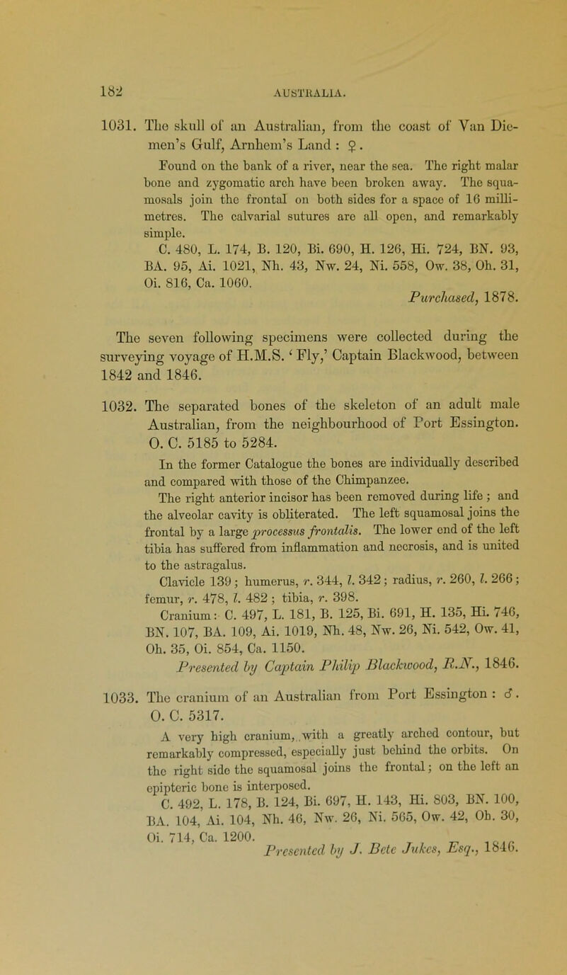 1031. Tlio skull ol‘ an Australian, from tlio coast of Van Die- men’s Gulf, Arnhem’s Land : 5 . Found on the bank of a river, near the sea. The right malar bone and zygomatic arch have been broken away. The squa- mosals join the frontal on both sides for a space of 16 milli- metres. The calvarial sutures are all open, and remarkably simple. C. 480, L. 174, B. 120, Bi. 690, H. 126, Hi. 724, BN. 93, BA. 95, Ai. 1021, Nh. 43, Nw. 24, Ni. 558, Ow. 38, Oh. 31, Oi. 816, Ca. 1060. Purchased, 1878. The seven following specimens were collected during the surveying voyage of H.M.S. ‘ Fly,’ Captain Blackwood, between 1842 and 1846. 1032. The separated bones of the skeleton of an adult male Australian, from the neighbourhood of Port Essington. O. C. 5185 to 5284. In the former Catalogue the bones are individuaBy described and compared with those of the Chimpanzee. The right anterior incisor has been removed during life ; and the alveolar cavity is obliterated. The left squamosal joins the frontal by a large processus frontalis. The lower end of the left tibia has suffered from inflammation and necrosis, and is united to the astragalus. Clavicle 139; humerus, r. 344, l. 342; radius, r. 260, l. 266; femur, r. 478, l. 482 ; tibia, r. 398. Cranium: C. 497, L. 181, B. 125, Bi. 691, H. 135, Hi. *46, BN. 107, BA. 109, Ai. 1019, Nh. 48, Nw. 26, Ni. 542, Ow. 41, Oh. 35, Oi. 854, Ca. 1150. Presented by Captain Philip Blackwood, R.N., 1846. 1033. The cranium of an Australian from Port Essington : d. 0. C. 5317. A very high cranium, with a greatly arched contour, but remarkably compressed, especially just behind the orbits. On the right side the squamosal joins the frontal; on the left an epipteric bone is interposed. C. 492, L. 178, B. 124, Bi. 697, H. 143, Hi. 803, BN. 100, BA. 104, Ai. 104, Nh. 46, Nw. 26, Ni. 565, Ow. 42, Oh. 30, 01. 714, Ca. 1200. T _ ,oj. Presented by J. Bctc Jukes, Esq., 1846.