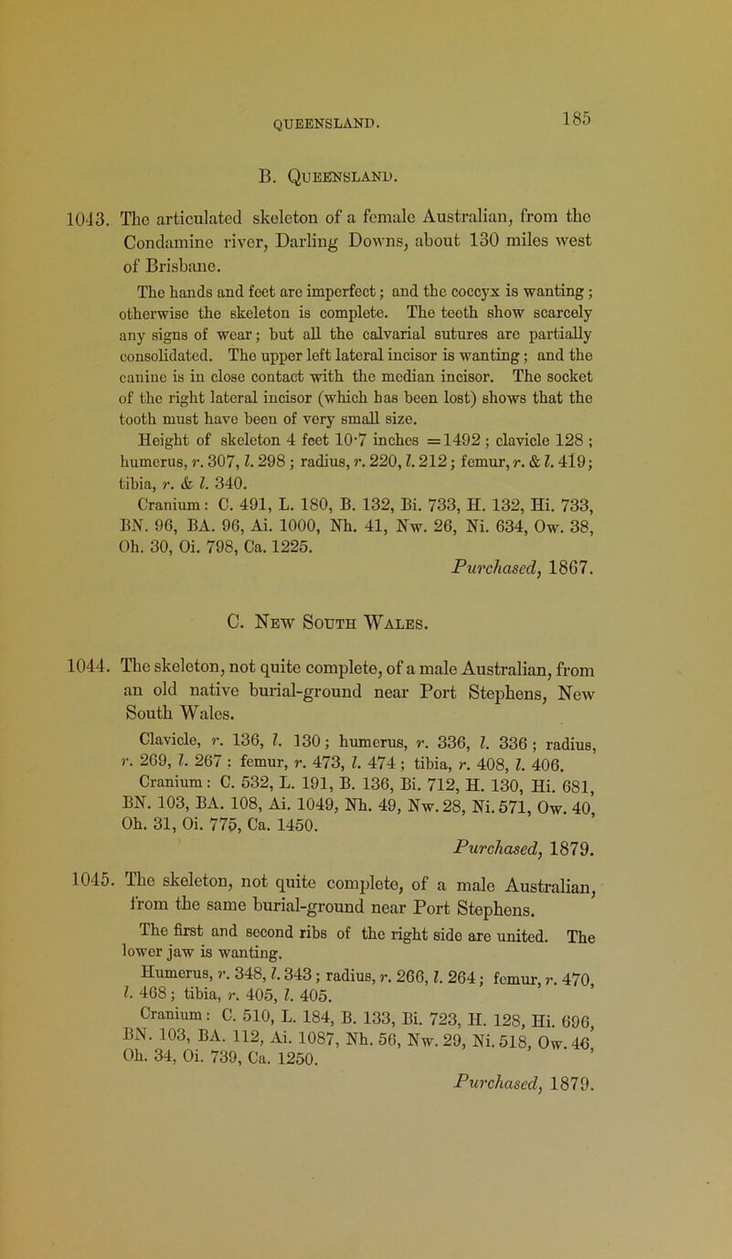 QUEENSLAND. 13. Queensland. 1013. The articulated skeleton of a female Australian, from the Condamine river, Darling Downs, about 130 miles west of Brisbane. The hands and feet are imperfect; and the coccyx is wanting; otherwise the skeleton is complete. The teoth show scarcely any signs of wear; hut all the calvarial sutures are partially consolidated. The upper left lateral incisor is wanting; and the canine is in close contact with the median incisor. The socket of tho right lateral incisor (which has been lost) shows that the tooth must have been of very small size. Height of skeleton 4 feet 107 inches =1492 ; clavicle 128 ; humerus, r. 307, Z. 298 ; radius, r. 220, Z. 212; femur, r. & l. 4l9; tibia, r. & Z. 340. Cranium: C. 491, L. 180, B. 132, Bi. 733, H. 132, Hi. 733, BN. 96, BA. 96, Ai. 1000, Nh. 41, Nw. 26, Ni. 634, Ow. 38, Oh. 30, Oi. 798, Ca. 1225. Purchased, 1867. C. New South Wales. 1044. The skeleton, not quite complete, of a male Australian, from an old native burial-ground near Port Stephens, New South Wales. Clavicle, r. 136, Z. 130; humerus, r. 336, Z. 336; radius, r. 269, Z. 267 : femur, r. 473, Z. 474 ; tibia, r. 408, Z. 406. Cranium: C. 532, L. 191, B. 136, Bi. 712, H. 130, Hi. 681 BN. 103, BA. 108, Ai. 1049, Nh. 49, Nw. 28, Ni. 571, Ow. 40* Oh. 31, Oi. 775, Ca. 1450. Purchased, 1879. 1045. The skeleton, not quite completo, of a male Australian, from the same burial-ground near Port Stephens. The first and second ribs of the right side are united. The lower jaw is wanting. Humerus, r. 348, Z. 343 ; radius, r. 266, Z. 264; femur, r. 470 Z. 468; tibia, r. 405, Z. 405. Cranium: C. 510, L. 184, B. 133, Bi. 723, H. 128, Hi. 696, BN. 103, BA. 112, Ai. 1087, Nh. 56, Nw. 29, Ni. 518, Ow 46 Oh. 34, Oi. 739, Ca. 1250.