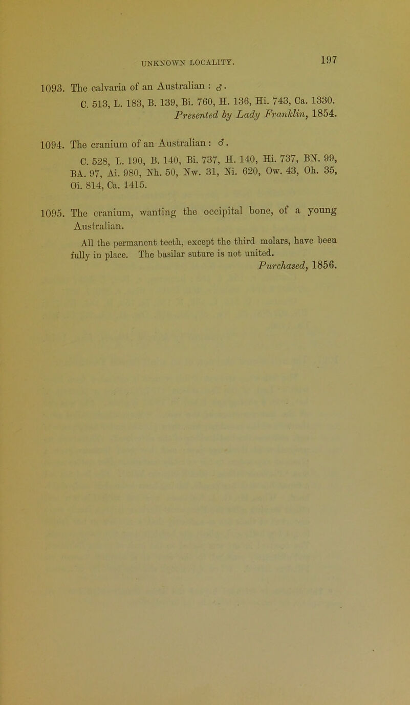 1093. The calvaria of an Australian : C. 513, L. 183, B. 139, Bi. 760, H. 136, Hi. 743, Ca. 1330. Presented by Lady Franklin, 1854. 1094. The cranium of an Australian: d. C. 528, L. 190, B. 140, Bi. 737, H. 140, Hi. 737, BN. 99, BA. 97, Ai. 980, Nh. 50, Nw. 31, Hi. 620, Ow. 43, Oh. 35, Oi. 814, Ca. 1415. 1095. The cranium, wanting the occipital bone, of a young Australian. All the permanent teeth, except tho third molars, have beeu fully in place. The basilar suture is not united. Purchased, 1856.