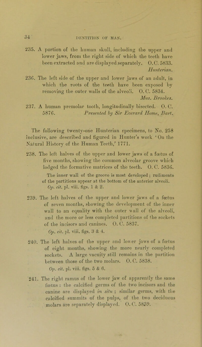 u 2iM). A portion of the luinum skull, iiielucling the upper and lower jaws, from the right side of which the teeth have been extracted and are displayed separately. O.C. 5833. Hunterian. 23C. The left side of the upper and lower jaws of an adult, in which the roots of the teeth have been exposed by removing the outer walls of the alveoli. 0. C. 5834. Mus. Brookes. 237. A human premolar tooth, longitudinally bisected. 0. C. 5876. Presented hy Sir Everard Home, Bart. The following twenty-one Hunterian specimens, to No. 258 inclusive, are de.scribed and figured in Hunter’s work ‘ On the Natural History of the Human Teeth,^ 1771. 238. The left halves of the upper and lower jaws of a foetus of five months, showing the common alveolar grooA^e which lodged the formative matrices of the teeth. 0. C. 5836. The inner wall of the groove is most developed; rudiments of the partitions appear at the bottom of the anterior alveoli. Op. cit. pi. viii. figs. 1 & 2. 23th The left halves of the upper and lower jaws of a foetus of seven months, .showing the development of the inner wall to an equality with the outer wall of the alveoli, and fhe more or less completed partitions of fhe sockets of the incisors and canines. 0. C. 5837. Op. cit. ])1. viii. figs. 3 & 4. 240. The left halves of the upper and lower jaws of a foetus of eight months, showing the more nearly completed sockets. A large vacuity still remains in the partition between those of the two molars. 0. C. 5838. Op. cit. pi. viii. figs. 5 & 6. 241. The right ramus of the lower jaw of apparently the same foetus : the calcified germs of the two incisors and the canine are displayed in situ ; similar germs, with the calcified summits of the pulj)s, of the two deciduous