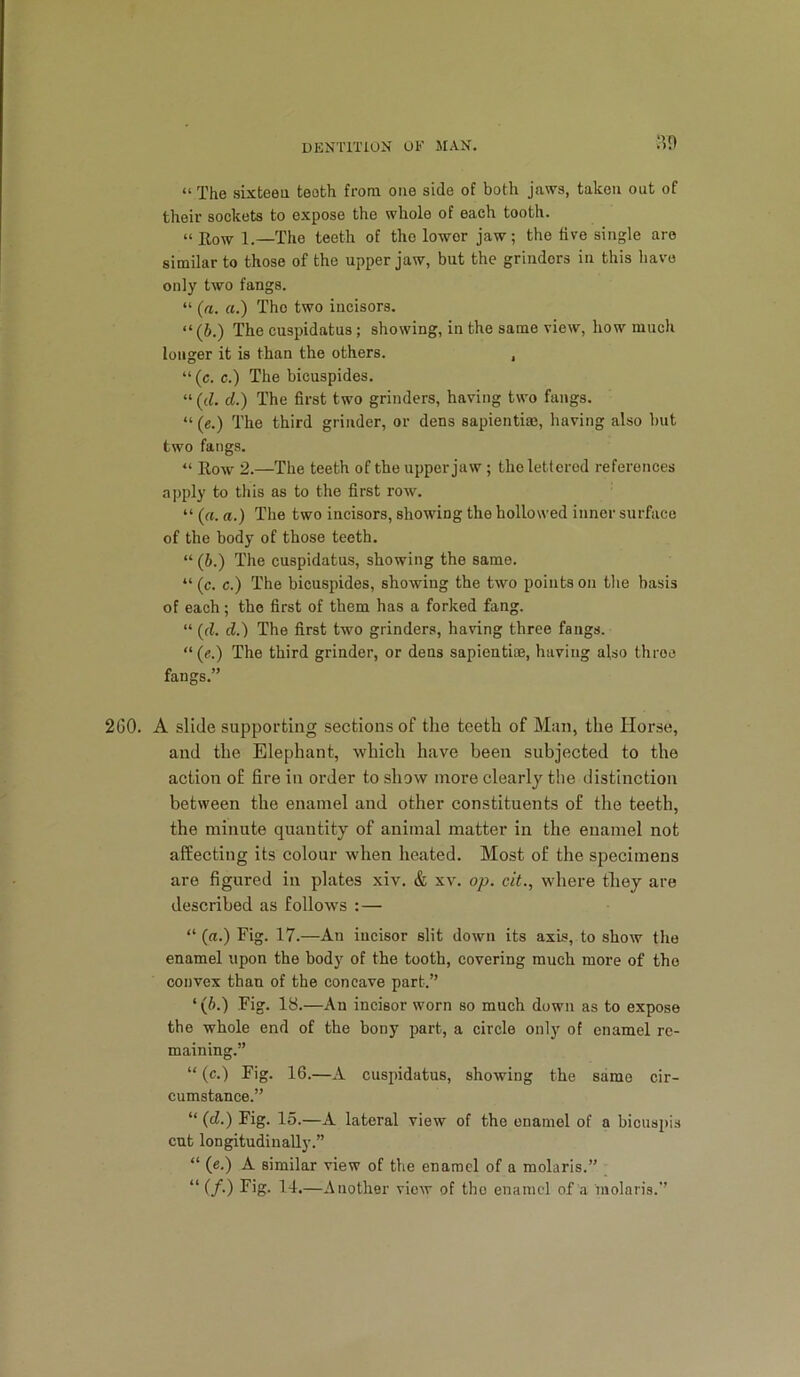 :’.n “ The sixteea teeth from one side of both jaws, taken out of their sockets to expose the whole of each tooth. “ Row 1.—The teeth of tho lower jaw; the five single are similar to those of tho upper jaw, but the grinders in this have only two fangs. “ («. ft.) Tho two incisors. “ (6.) The cuspidatus; showing, in the same view, how much longer it is than the others. , “ (c. c.) The bicuspides. “ (d. d.) The first two grinders, having two fangs. “ (e.) The third grinder, or dens sapientim, having also but two fangs. “ Row 2.—The teeth of the upper jaw; tho lettered references apply to this as to the first row. “ (ft. a.) The two incisors, showing the hollowed inner surface of the body of those teeth. “ (6.) The cuspidatus, showing the same. “ (c. c.) The bicuspides, showing the two points on tlie basis of each; tho first of them has a forked fang. “ (d. d.) The first two grinders, having three fangs. “ (e.) The third grinder, or dens sapientioe, having also throe fangs.” 260. A slide supporting sections of the teeth of Man, the Horse, and the Elephant, which have been subjected to the action of fire in order to show more clearly the distinction between the enamel and other constituents of the teeth, the minute quantity of animal matter in the enamel not affecting its colour when heated. Most of the specimens are figured in plates xiv. & xv. op. cit., where they are described as follows :— “ (a.) Fig. 17.—An incisor slit down its axis, to show tho enamel upon the body of the tooth, covering much more of tho convex than of the concave part.” ‘ (6.) Fig. 18.—An incisor worn so much down as to expose the whole end of the bony part, a circle only of enamel re- maining.” “ (c.) Fig. 16.—A cuspidatus, showing the same cir- cumstance.” “ (d.) Fig. 15.—A lateral view of the enamel of a bicuspis cut longitudinally.” “ (e.) A similar view of the enamel of a molaris.” “ (/.) Fig. 1-1.—Another view of tho enamel of a molaris.”