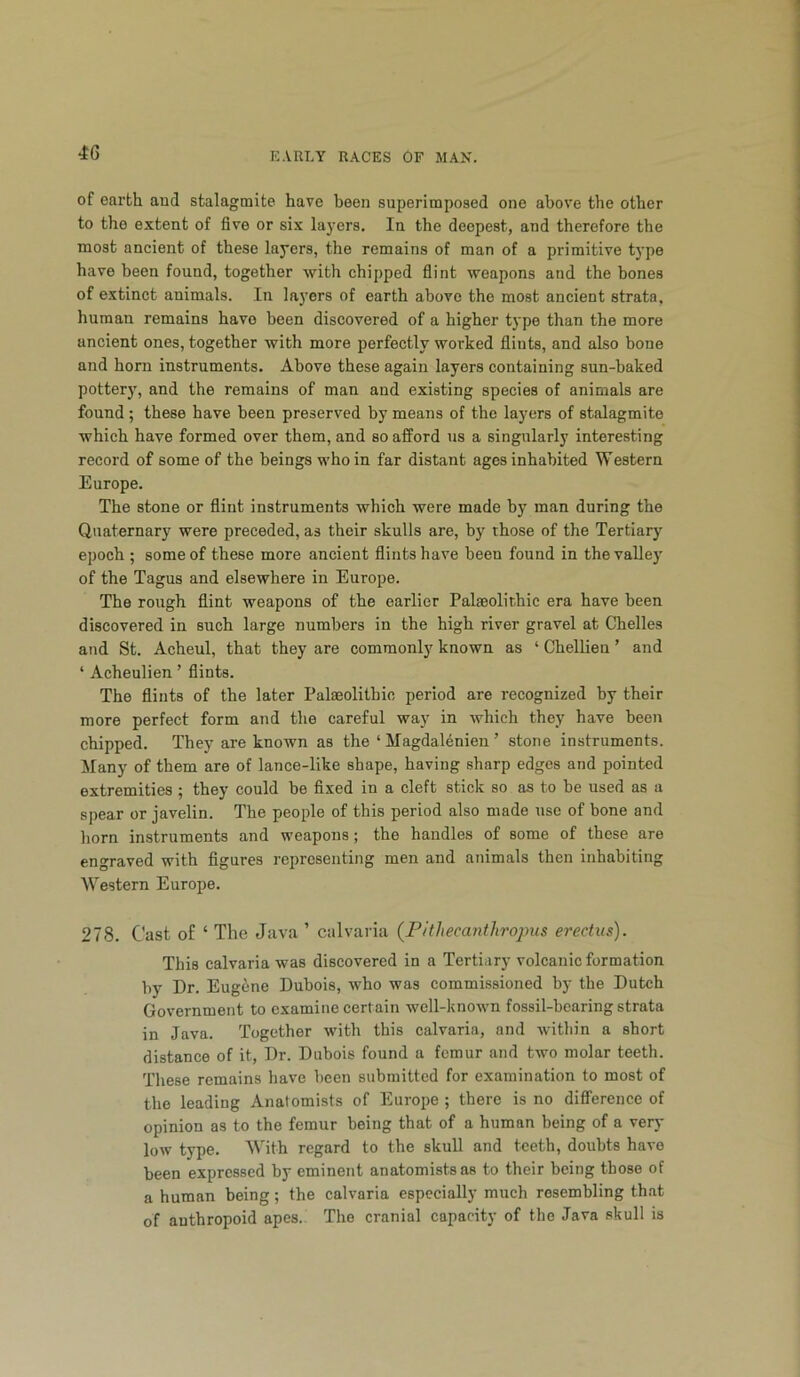 of earth and stalagmite have been superimposed one above the other to the extent of five or six layers. In the deepest, and therefore the most ancient of these layers, the remains of man of a primitive type have been found, together with chipped flint weapons and the bones of extinct animals. In layers of earth above the most ancient strata, human remains have been discovered of a higher type than the more ancient ones, together with more perfectly worked flints, and also bone and horn instruments. Above these again layers containing sun-baked pottery, and the remains of man and existing species of animals are found ; these have been preserved by means of the layers of stalagmite which have formed over them, and so afford us a singularly interesting record of some of the beings who in far distant ages inhabited Western Europe. The stone or flint instruments which were made by man during the Quaternary were preceded, as their skulls are, by those of the Tertiary epoch ; some of these more ancient flints have been found in the valley of the Tagus and elsewhere in Europe. The rough flint weapons of the earlier Palaeolithic era have been discovered in such large numbers in the high river gravel at Chelles and St. Acheul, that they are commonly known as ‘ Chellien ’ and ‘ Acheulien ’ flints. The flints of the later Palaeolithic period are recognized by their more perfect form and the careful way in which they have been chipped. They are known as the ‘ Magdalenien ’ stone instruments. Many of them are of lance-like shape, having sharp edges and pointed extremities ; they could be fixed in a cleft stick so as to be used as a spear or javelin. The people of this period also made use of bone and horn instruments and weapons; the handles of some of these are engraved with figures representing men and animals then inhabiting Western Europe. 278. Cast of ‘ The Java ’ calvaria {Pithecanthropus erectus). This calvaria was discovered in a Tertiary volcanic formation by Dr. Eugene Dubois, who was commissioned by the Dutch Government to examine certain well-known fossil-bearing strata in Java. Together with this calvaria, and within a short distance of it. Dr. Dubois found a femur and two molar teeth. These remains have been submitted for examination to most of the leading Anatomists of Europe ; there is no difference of opinion as to the femur being that of a human being of a very low type. With regard to the skull and teeth, doubts have been expressed by eminent anatomists as to their being those of a human being; the calvaria especially much resembling that of anthropoid apes. The cranial capacity of the Java skull is