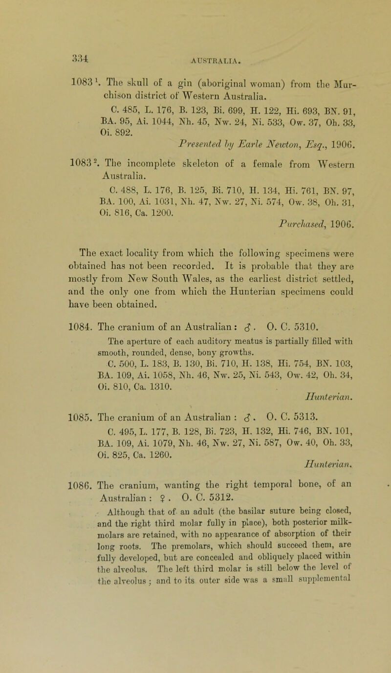 :i;u 1083 ^ The skull of a gin (aboriginal woman) from the Mur- chison district of Western Australia. C. 485, L. 176, B. 123, Bi. 699, H, 122, Hi. 693, BN. 91, BA. 95, Ai. 1044, Nh. 45, Nw. 24, Ni. 533, Ow. 37, Oh. 33, Oi. 892. Presented hy Earle Newton, Esq., 190G. 1083 ^ The incomplete skeleton of a female from Western Australia. C. 488, L. 176, B. 125, Bi. 710, H. 134, Hi. 761, BN. 97, BA. 100, Ai. 1031, Nh. 47, Nw. 27, Ni. 574, Ow. 38, Oh. 31, Oi. 816, Ca. 1200. Purchased, 1906. The exact locality from which the following specimens were obtained has not been recorded. It is probable that they are mostly from New South Wales, as the earliest district settled, and the only one from which the Hunterian .specimens could have been obtained. 1084. The ci-anium of an Australian : c? . 0. C. 5310. The aperture of each auditory meatus is partially filled with smooth, rounded, dense, bony growths. C. 500, L. 183, B. 130, Bi. 710, H. 138, Hi. 754, BN. 103, BA. 109, Ai. 1058, Nh. 46, Nw. 25, Ni. 543, Ow. 42, Oh. 34, Oi. 810, Ca. 1310. Hunterian. 1085. The cranium of an Australian : c? . 0. C. 5313. C. 495, L. 177, B. 128, Bi. 723, H. 132, Hi. 746, BN. 101, BA. 109, Ai. 1079, Nh. 46, Nw. 27, Ni. 587, Ow. 40, Oh. 33, Oi. 825, Ca. 1260. Hunterian, 1086. The cranium, wanting the right temporal bone, of an Australian : ? . 0. C. 5312. Although that of an adult (the basilar suture being closed, and the right third molar fully in place), both posterior milk- molars are retained, with no appearance of absorption of their long roots. The premolars, which should succeed them, are fully developed, but are concealed and obliquely placed within the alveolus. The left third molar is still below the level of the alveolus ; and to its outer side was a small supplemental