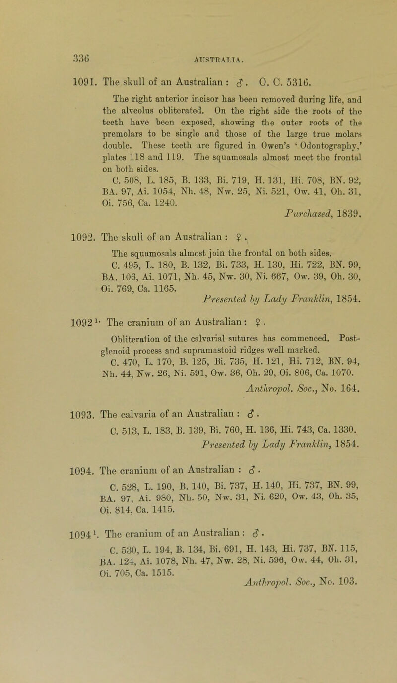 1091. The skull of an Australian : ^. 0. C. 531G. The right anterior incisor has been removed during life, and the alveolus obliterated. On the right side the roots of the teeth have been exposed, showing the outer roots of the premolars to be single and those of the large true molars double. These teeth are figured in Owen’s ‘ Odontography,’ plates 118 and 119. The squamosals almost meet the frontal on both sides. C. 508, L. 185, B. 133, Bi. 719, H. 131, Hi. 708, BN. 92, BA. 97, Ai. 1054, Nh. 48, Nw. 2.5, Ni. 521, Ow. 41, Oh. 31, Oi. 756, Ca. 1240. Purchased, 1839. 1092. The skull of an Australian : ? . The squamosals almost join the frontal on both sides. C. 495, L. 180, B. 132, Bi. 733, H. 130, Hi. 722, BN. 99, BA. 106, Ai. 1071, Nh. 45, Nw. 30, Ni. 667, Ow. 39, Oh. 30, Oi. 769, Ca. 1165. Presented by Lady Franklin, 1854. 1092 The cranium of an Australian : ? . Obliteration of the calvarial sutures has commenced. Post- glenoid process and supramastoid ridges well marked. C. 470, L. 170, B. 125, Bi. 735, H. 121, Hi. 712, BN. 94, Nh. 44, Nw. 26, Ni. 591, Ow. 36, Oh. 29, Oi. 806, Ca. 1070. Antliropol, Soc., No. 164. 1093. The calvaria of an Australian : . C. 513, L. 183, B. 139, Bi. 760, H. 136, Hi. 743, Ca. 1330. Presented by Lady Franklin, 1854. 1094. The cranium of an Australian : S • C. 528, L. 190, B. 140, Bi. 737, H. 140, Hi. 737, BN. 99, BA. 97, Ai. 980, Nh. 50, Nw. 31, Ni. 620, Ow. 43, Oh. 35, Oi. 814, Ca. 1415. 1094 h The cranium of an Australian : S • C. 530, L. 194, B. 134, Bi. 691, H. 143, Hi. 737, BN. 115, BA. 124, Ai. 1078, Nh. 47, Nw. 28, Ni. 596, Ow. 44, Oh. 31, Oi. 705, Ca. 1515. Anthropol. Soc., No. 103.