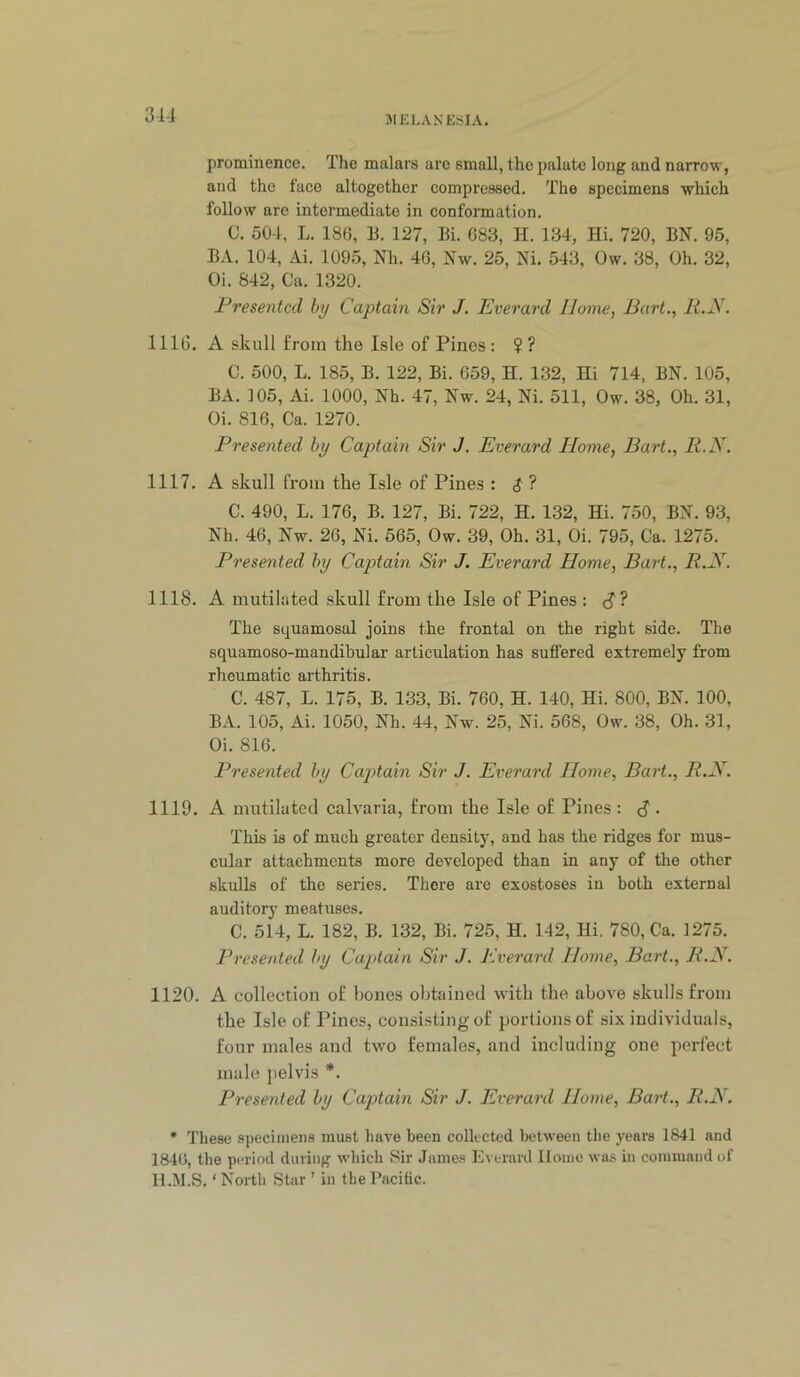 JIELANE:?IA. prominence. The malars are small, the palate long and narrow, and the face altogether compressed. The specimens which follow arc intermediate in conformation. C. 504, L. 180, B. 127, Bi. G83, H. 134, Hi. 720, BN. 95, BA. 104, Ai. 1095, Nh. 46, Nw. 25, Ni. 543, Ow. 38, Oh. 32, Oi. 842, Ca. 1320. Presented by Captain Sir J. Everard IJome, Bart., R.N. 1116. A skull from the Isle of Pines: ?? C. 500, L. 185, B. 122, Bi. 659, H. 132, Hi 714, BN. 105, BA. 105, Ai. 1000, Nh. 47, Nw. 24, Ni. 511, Ow. 38, Oh. 31, Oi. 816, Ca. 1270. Presented by Captain Sir J. Everard Home, Bart., li.X. 1117. A skull from the Isle of Pines : $ ? C. 490, L. 176, B. 127, Bi. 722, H. 132, Hi. 750, BN. 93, Nh. 46, Nw. 26, Ni. 565, Ow. 39, Oh. 31, Oi. 795, Ca. 1275. Presented by Captain Sir J. Everard Home, Bart., R.N. 1118. A mutilated skull from the Isle of Pines : <?? The squamosal joins the frontal on the right side. The squamoso-mandibular articulation has suffered extremely from rheumatic arthritis. C. 487, L. 175, B. 133, Bi. 760, H. 140, Hi. 800, BN. 100, BA. 105, Ai. 1050, Nh. 44, Nw. 25, Ni. 568, Ow. 38, Oh. 31, Oi. 816. Presented by Captain Sir J. Everard Home, Bart., R.X. 1119. A mutilated calvaria, from the Isle of Pines : S • This is of much greater density, and has the ridges for mus- cular attachments more developed than in any of the other skulls of the series. There are exostoses in both external auditory meatuses. C. 514, L. 182, B. 132, Bi. 725, H. 142, Hi, 780, Ca. 1275. Presented by Captain Sir J. Everard Home, Bart., R.N. 1120. A collection of hones obtained with the above skulls from the Isle of Pines, consisting of portions of six individuals, four males and two females, and including one perfect male pelvis *. Presented by Cap>tain Sir J. Everard Home, Bart., R.N. * These specimens must have been collected between the years 1841 and 1840, the period during which Sir James Everard Homo was in command of H.M.S. ‘ North Star ’ in the Pacific.