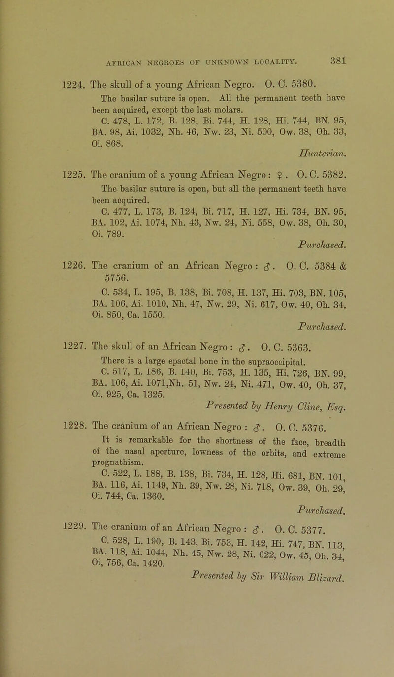 1224. The skull of a young African Negro. 0. C. 5380. The basilar suture is open. All the permanent teeth have been acquired, except the last molars. C. 478, L. 172, B. 128, Bi. 744, H. 128, Hi. 744, BN. 95, BA. 98, Ai. 1032, Nh. 46, Nw. 23, Ni. 500, Ow. 38, Oh. 33, Oi. 868. Hxmterian. 1225. The cranium of a young African Negro: $. 0. C. 5382. The basilar suture is open, but all the permanent teeth have been acquired. C. 477, L. 173, B. 124, Bi. 717, H. 127, Hi. 734, BN. 95, BA. 102, Ai. 1074, Nh. 43, Nw. 24, Ni. 558, Ow. 38, Oh. 30, Oi. 789. Purchased. 1226. The cranium of an African Negro: <^. 0. C. 5384 & 5756. C. 534, L. 195, B. 138, Bi. 708, H. 137, Hi. 703, BN. 105, BA. 106, Ai. 1010, Nh. 47, Nw. 29, Ni. 617, Ow. 40, Oh. 34, Oi. 850, Ca. 1550. Purchased. 1227. The skull of an African Negro : 0. C. 5363. There is a large epactal bone in the supraoccipital. C. 517, L. 186, B. 140, Bi. 753, H. 135, Hi. 726, BN. 99, BA. 106, Ai. 1071,Nh. 51, Nw. 24, Ni. 471, Ow. 40, Oh. 37, Oi. 925, Ca. 1325. Presented by Henry Cline, Esq. 1228. The cranium of an African Negro ^. 0. C. 5376. It is remarkable for the shortness of the face, breadth of the nasal aperture, lowness of the orbits, and extreme prognathism. C. 522, L. 188, B. 138, Bi. 734, H. 128, Hi. 681, BN. 101, BA. 116, Ai. 1149, Nh. 39, Nw. 28, Ni. 718, Ow. 39 Oh 2Q Oi. 744, Ca. 1360. ’ ’ ’ Purchased. 1229. The cranium of an African Negro : cJ. 0. C. 5377. C. 528, L. 190, B. 143, Bi. 753, H. 142, Hi. 747, BN. 113 BA. 118, Ai. 1044, Nh. 45, Nw. 28, Ni. 622, Ow. 45 Oh 34* Oi, 756, Ca. 1420. . • oi, Presented by Sir William Blizard.