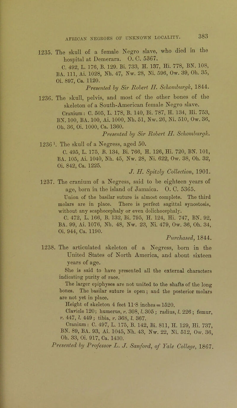 1235. The skull o£ a female Negro slave, who died in the hospital at Demerara. 0. C. 5367. C. 492, L. 176, B. 129. Bi. 733, H. 137, Hi. 778, BN. 108, BA. Ill, Ai. 1028, Nh. 47, Nw. 28, Ni. 596, Ow. 39, Oh. 35, Oi. 897, Ca. 1120. Presented hy Sir Robert H. Schomburgk, 1844. 1236. The skull, pelvis, and most of the other bones of the skeleton of a South-American female Negro slave. Cranium: C. 505, L. 178, B. 140, Bi. 787, H. 134, Hi. 753, BN. 100, BA. 100, Ai. 1000, Nh. 51, Nw. 26, Ni. 510, Ow. 36, Oh. 36, Oi. 1000, Ca. 1360. Presented by Sir Robert H. Schomburgk. 1236 k The skull of a Negress, aged 50. C. 495, L. 175, B. 134, Bi. 766, H. 126, Hi. 720, BN. 101, BA. 105, Ai. 1040, Nh. 45, Nw. 28, Ni. 622, Ow. 38, Oh. 32, Oi. 842, Ca. 1225. J. H. Spitzly Collection, 1901. 1237. The cranium of a Negress, said to be eighteen years of age, born in the island of Jamaica. 0. C. 5365. Union of the basilar suture is almost complete. The third molars are in place. There is perfect sagittal synostosis, without any scaphocephaly or even dolichocephaly. C. 472, L. 166, B. 132, Bi. 795, H. 124, Hi. 747, BN. 92, BA. 99, Ai. 1076, Nh. 48, Nw. 23, Ni. 479, Ow. 36, Oh. 34, Oi. 944, Ca. 1190. Purchased, 1844. 1238. The articulated skeleton of a Negress, born in the United States of North America, and about sixteen years of age. She is said to have presented all the external characters indicating purity of race. The larger epiphyses are not united to the shafts of the long bones. The basilar suture is open; and the posterior molars are not yet in place. Height of skeleton 4 feet 11-8 inches = 1520. Clavicle 120; humerus, r. 308,1. 305 ; radius, 1. 226; femur, r. 447, 1. 449; tibia, r. 368, 1. 367. Cranium: C. 497, L. 175, B. 142, Bi. 811, H. 129, Hi. 737, BN. 89, BA. 93, Ai. 1045, Nh. 43, Nw. 22, Ni. 512, Ow. 36, Oh. 33, Oi. 917, Ca. 1430. Presented hy Professor L. J. Sanford, of Yale College, 1867.