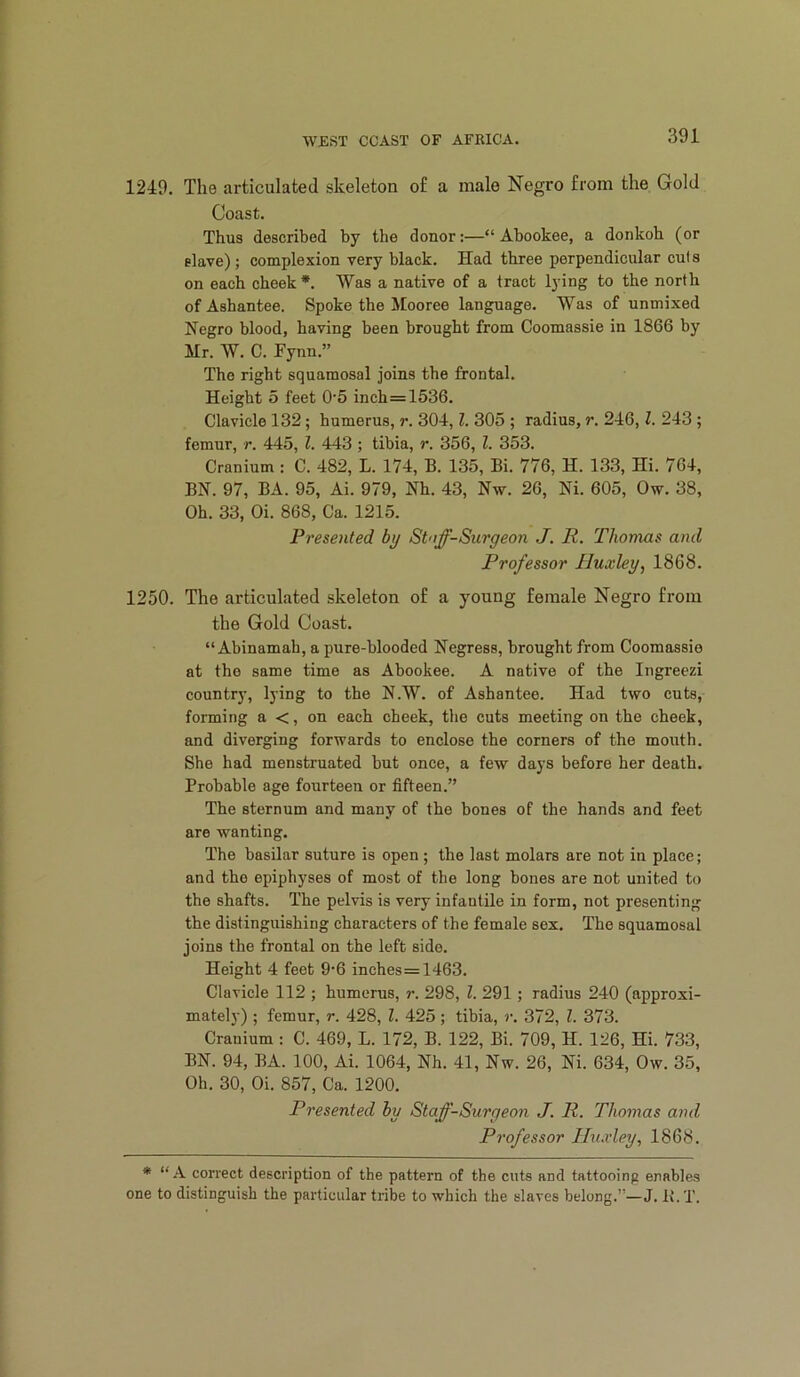 1249. The articulated skeleton of a male Negro from the Gold Coast. Thus described by the donor:—“ Abookee, a donkoh (or slave); complexion very black. Had three perpendicular cuts on each cheek*. Was a native of a tract lying to the north ofAshantee. Spoke the Mooree language. Was of unmixed Negro blood, having been brought from Coomassie in 1866 by Mr. W. C. Fynn.” The right squamosal joins the frontal. Height 5 feet 0’5 inch=1536. Clavicle 132; humerus, r. 304,1. 305 ; radius, r. 246,1. 243 ; femur, r. 445, 1. 443 ; tibia, r. 356, 1. 353. Cranium : C. 482, L. 174, B. 135, Bi. 776, H. 133, Hi. 764, BN. 97, BA. 95, Ai. 979, Nh. 43, Nw. 26, Ni. 605, Ow. 38, Oh. 33, Oi. 868, Ca. 1215. Presented by Stnff-Surgeon J. R. Thomas and Professor Huxley, 1868. 1250. The articulated skeleton of a young female Negro from the Gold Coast. “ Abinamah, a pure-blooded Negress, brought from Coomassie at the same time as Abookee. A native of the Ingreezi country, lying to the N.W. of Ashantee. Had two cuts, forming a <, on each cheek, the cuts meeting on the cheek, and diverging forwards to enclose the corners of the mouth. She had menstruated but once, a few days before her death. Probable age fourteen or fifteen.” The sternum and many of the bones of the hands and feet are wanting. The basilar suture is open ; the last molars are not in place; and the epiphyses of most of the long bones are not united to the shafts. The pelvis is very infantile in form, not presenting the distinguishing characters of the female sex. The squamosal joins the frontal on the left side. Height 4 feet 9'6 inehes=1463. Clavicle 112 ; humerus, r. 298, 1. 291; radius 240 (approxi- mately) ; femur, r. 428, 1. 425 ; tibia, r. 372, 1. 373. Cranium : C. 469, L. 172, B. 122, Bi. 709, H. 126, Hi. 733, BN. 94, BA. 100, Ai. 1064, Nh. 41, Nw. 26, Ni. 634, Ow. 35, Oh. 30, Oi. 857, Ca. 1200. Presented by Staff-Surgeon J. R. Thomas and Professor Huxley, 1868. * “.4 correct description of the pattern of the cuts and tattooing enables one to distinguish the particular tribe to which the slaves belong.”—J. 1\. T.