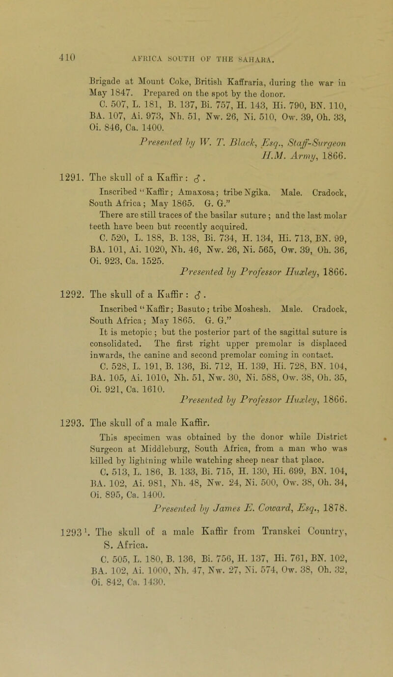 Brigade at Mount Coke, British Kaffraria, during the war iu May 1847. Prepared on the spot by the donor. C. 507, L. 181, B. 137, Bi. 757, H. 143, Hi. 790, BN. 110, BA. 107, Ai. 973, Nh. 51, Nw. 26, Ni. 510, Ow. 39, Oh. 33, Oi. 846, Ca. 1400. Presented }>y IF. T. Black, Bsq., Staff-Svryeon JI.M. Army, 1866. 1291. The skull of a Kaffir : S . Inscribed “Kaffir; Amaxosa; tribe Ngika. Male. Cradock, South Africa; May 1865. G. G.” There are still traces of the basilar suture ; and the last molar teeth have been but recently acquired. C. 520, L. 188, B. 138, Bi. 734, H. 134, Hi. 713, BN. 99, BA. 101, Ai. 1020, Nh. 46, Nw. 26, Ni. 565, Ow. 39, Oh. 36, Oi. 923, Ca. 1525. Presented hy Professor Huxley, 1866. 1292. The skull of a Kaffir : ^ . Inscribed “ Kaffir; Basuto; tribe Moshesh. Male. Cradock, South Africa; May 1865. G. G.” It is metopic; but the posterior part of the sagittal suture is consolidated. The first right upper premolar is displaced inwards, the canine and second premolar coming in contact. C. 528, L. 191, B. 136, Bi. 712, H. 139, Hi. 728, BN. 104, BA. 105, Ai. 1010, Nh. 51, Nw. 30, Ni. 588, Ow. 38, Oh. 35, Oi. 921, Ca. 1610. Presented hy Professor Huxley, 1866. 1293. The skull of a male Kaffir. This specimen was obtained by the donor while District Surgeon at Middleburg, South Africa, from a man who was killed by lightning while watching sheep near that ifiace. C. 513, L. 186, B. 133, Bi. 715, H. 130, Hi. 699, BN. 104, BA. 102, Ai. 981, Nh. 48, Nw. 24, Ni. 500, Ow. 38, Oh. 34, Oi. 895, Ca. 1400. Presented hy James E. Coward, Esq., 1878. 1293'. The skull of a male Kaffir from Transkei Country, S. Africa. C. 505, L. 180, B. 136, Bi. 756, H. 137, Hi. 761, BN. 102, BA. 102, Ai. 1000, Nh. 47, Nw. 27, Ni. 574, Ow. 38, Oh. 32, Oi. 842, Ca. 1430.