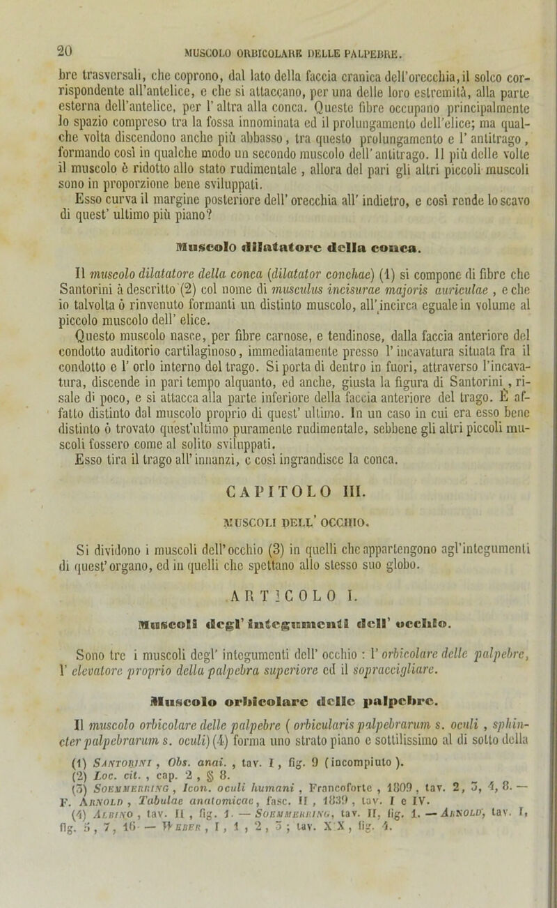 bre trasvcrsali, che coprono, dal lato dclla faccia cranica dcirorecchia,il solco cor- rispondcnte aH’anlelice, c che si attaccano, peruna delle loro eslremitä, alla parle esterna dell’antelice, per l’altra alla conca. Qucstc fibre occupano principalmente 10 spazio compreso tra la fossa innominata cd il prolungamcnto dell’elice; ma qual- che volta discendono ancho piü abbasso, tra questo prolungamcnto e 1’ anlilrago , formando cosi in qualchc modo un sccondo muscolo dell’anlitrago. 11 piü delle volle 11 muscolo ü ridotto allo stato rudimentale , allora del pari gli altri piccoli muscoli sono in proporzione bene sviluppati. Esso curva il margine posteriore dell’ orecchia all’ indietro, e cosi rcnde loscavo di quest’ ultimo piü piano? Muscolo dilntatorc dclla couca. Il muscolo dilatatore dclla conca (dilatator conchae) (1) si compone di fibre che Santorini ä descritto (2) col nome di musculus incisurae majoris auriculac , eche io talvolla 6 rinvenuto formanti un distinto muscolo, all’incircn egualein volume al piccolo muscolo dell’ elice. Questo muscolo nasce, per fibre carnose, e tendinose, dalla faccia anteriore del condotto auditorio cartilaginoso, immediatamente prcsso 1’ incavatura situala fra il condotto e 1’ orlo interno del trago. Si porta di dentro in fuori, attraverso l’incava- tura, discende in pari tempo alquanto, ed anche, giusta la figura di Santorini , ri- sale di poco, e si attacca alla parte inferiore della faccia anteriore del trago. £ nf- fatto distinto dal muscolo proprio di quest’ ultimo. In un caso in cui era esso bene distinto ö trovato quest'ultimo puramenle rudimentale, sebbene gli altri piccoli mu- scoli fossero come al solito sviluppati. Esso tira il trago all’ innanzi, c cosi ingrandisce la conca. CAPITOLO III. MUSCOI.I PELL’ OCCHIO. Si dividono i muscoli dcH’occhio (3) in quelli eheappartengono agl’integumenti di quest’organo, ed in quelli che spettano allo slesso suo globo. ART IC OL 0 I. Muscoli dcgl’ intcgunicnli dell’ «icdiEo. Sono tre i muscoli degl’ intogumenti dell’ occhio : Y orbicolarc delle jialpebre, Y eUvatore proprio della palpebra superiore cd il sopraccigliare. AIuscolo orbicolarc delle palpclirc. Il muscolo orbicolarc delle palpebra ( orbicularis palpebrarum s. oculi , sphin- der palpebrarum s. oculi) (4) forma uno strato piano e sotlilissimo al di sotto della (1) Santorini , Obs. anai. , tav. I, fig. 9 (iocompiulo ). (2) Loc. cil. , cap. 2 , § 8. [7>) Soksjmermsg , Icon, oculi liumani , Francoforte , 1809, tav. 2, j, 4, 8. — F. Ajiaold, Tabulac annlomicac, läse. II, 1839, tav. I c IV. (4) Albik.0 , tav. Il , fig. l. —Sobsiihburing, tav. Jl. lig. l. — Aukold, tav. I, fig. a , 7, 16 II ebur ,1,1,2 , o ■, lav. X X , fijj. 4.