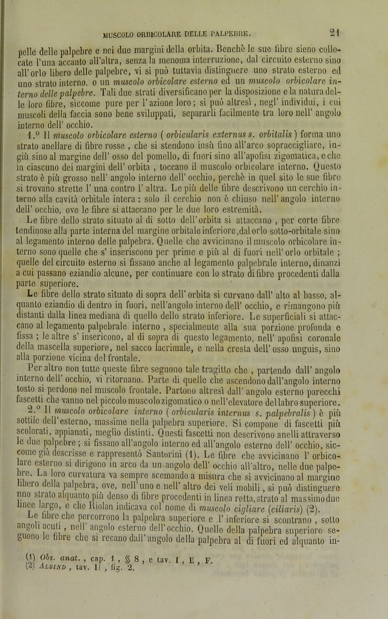 pelle delle palpebre e nei dne margini della orbita. Benche le sue libre sieno collo- cate l’una accanto all’altra, senza la menoma interruzione, dal circuilo esterno sino all’orlo libero delle palpebre, vi si puö tuttavia distinguere uno slralo esterno ed uno strato interno, o un muscolo ovbicolare esterno ed un muscolo orbieolare in- terno delle palpebre. Tali duc strati diversificano per la disposizione ela natura del- le loro fibre, siccorae pure per l’azione loro; si puö altresi, negl’ individui, i cui muscoli della faccia sono bene sviluppati, separarli facilmente tra loro nell’ angolo interno dell’ occbio. 1,° 11 muscolo orbieolare esterno ( orbicularis externuss. orbitalis) forma uno strato anellare di fibre rosse , ehe si stendono insu fino all’arco sopraccigüare, in- giü sino al margine dell’ osso del pomello, di fuori sino all’apofisi zigomatica, eche in ciascuno dei margini dell’ orbita , toccano il muscolo orbieolare interno. Questo strato ö piü grosso nell’ angolo interno dell’ occliio, perehe in quel sito le sue fibre si trovano strette 1’ una contro 1’ altra. Le piü delle fibre descrivono un cercbio in- Itsrno alla cavitä orbitale intera : solo il cerchio non 6 cliiuso nell’ angolo interno dell’ occhio, ove le fibre si attaccano per le due loro estremilä. Le fibre dello strato situato al di sotto dell’orbita si attaccano , per corte fibre tendinose alla parte interna del margine orbitale inferiore,dal orlo sotto-orbitale sino al legamenlo interno delle palpebra. Quelle che avvicinano il muscolo orbieolare in- terno sono quelle che s’ inseriscono per prime c piü al di fuori nell’ orlo orbitale ; quelle del circuito esterno si fissano anche al legamenlo palpebrale interno, dinanzi a cui passano eziandio alcune, per continuare con lo strato di fibre procedenti dalla parte superiore. Le fibre dello strato situato di sopra dell’orbita si curvano dall’ alto al basso, al- quanlo eziandio di dentro in fuori, nell’angolo interno dell’ occhio, e rimangono piü distanli dalla linea mediana di quello dello strato inferiore. Le superficiali si attac- cano al legamento palpebrale interno , specialmente alla sua porzione prolonda e fissa ; le altre s’ insericono, al di sopra di questo legamento, nell’ apofisi coronale della mascella superiore, nel sacco lacrimale, e nella cresla dell’osso unguis, sino alla porzione vicina del frontale. Per altro non tutte queste fibre seguono talc tragitto che , partendo dall’ angolo interno dell occhio, vi ritornano. Parte di quelle che ascendono dall’angolo interno tosto si perdono nel muscolo Irontale. Partono altresi dall' angolo esterno parecchi fascetti che vanno nel piccolo muscolozigomalico o ncll’elevatore dellabro superiore. 2. 11 muscolo orbieolare interno ( orbicularis internus s. palpebralis ) e piü sottile dell esterno, massime nella palpebra superiore. Si cornpone di fascetti piü sco orati, appianati, meglio distinli. Questi fascetti non descrivono anelli allraverso le due palpebre; si fissano all’angolo interno ed all’angolo esterno dell’ occhio, sic- come gia desensse e rappresenlö Santurini (1). Le fibre che avvicinano 1’ orbico- are esterno si dirigono in arco da un angolo dell’ occhio all’altro, nelle due palpc- jie. La oro curvatura va sempre scemando a misura che si avvicinano al margine i ero della palpebra, ove, nell uno e nell’ altro dei veli mobili, si puö distinguere uno slidto alquanto piü denso di fibre procedenti in linea retta,strato al massimodue linee largo, e che Riolan indicava col nome di muscolo cigliare (ciliaris) (2). c libic che pcrcorrono la palpebra superiore e 1’ inferiore si scontrano , sotto nngo i acuti, nell angolo esterno dell occhio. Quelle della palpebra superiore se- guono le fibre che si recano dall’ angolo della palpebra al di fuori ed alquanto in- (Q Obs. anal. , cap. I , § 8 , c lav. I (Z) Aluind , tav. It , lig. 2. E F.