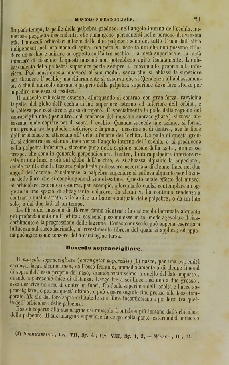 In pari tempo, la pelle della palpebra produce, ncll'angolo interno dell’occhio, nu- merose pieghette discendenti, che rimangono permanenti nelle persone di avanzata etä. I muscoli orbicolari interni delle due palpebre sono del tutto 1’ uno dall’ altro indipendenti nel loro modo di agire; ma perö vi sono taluni che non possono chiu- dere un occhio e mirare un oggetto coli’altro occhio. La metä superiore e la metä inferiore di ciascuno di questi muscoli non potrebbero agire isolatamente. Lo ab- bassamento della palbebra superiore porla sempre il movimento proprio alla infe- riore. Puö bensl questa muoversi al suo modo , senza che si abbassi la superiore per chiudere 1’ occhio; ma chiaramente si osserva che vi öjtendenza all’abbassamen- to, e che il muscolo elevatore proprio della palpebra superiore deve fare sforzo per impedire che essa si realizzi. 11 muscolo orbicolare esterno, allorquando si contrae con gran forza, ravvicina la pelle del globo dell’ occhio ai lati superiore esterno ed inferiore delP orbita , e la solleva per cosi dire a guisa di riparo. £ specialmente la pelle della regione del sopracciglio che (per altro, col concorso del muscolo sopraccigliare) si trova ab- bassata, onde coprire per di sopra 1’ occhio. Quando succede tale azione, si forma una gronda tra la palpebra inferiore e la gota, massime al di dentro, ove le fibre dell’orbicolare si attaccano all’ orlo inferiore dell’orbita. La pelle di questa gron- da si addentra per alcune linee verso l’angolo interno dell’ occhio, e si producono nella palpebra inferiore , siccome pure nella regione nasale della gota , numerose crespe, che sono in generale perpendicolari. Inoltre, l'intera palpebra inferiore ri- sale di una linea e piü sul globo dell’ occhio, e si abbassa alquanto la superiore , donde risulta che la fessura palpebrale puöessere occorciata di alcune linee nei due angoli dell’ occhio. Einalmentc la palpebra superiore si solleva alquanto per l’azio- ne delle fibre che si congiungonoal suo elevatore. Questo totale effetto del musco- lo orbicolare esterno si osserva, per esempio, allorquando vuolsi contemplareun og- getto in uno spazio di abbagliante chiarore. In alcuni vi ha continua tendenza a contrarre quello strato, vale a dire un buttere abituale delle palpebre, o da un lato solo, o dai due lati ad un tempo. Le fibre del muscolo di Horner fanno rientrare la caruncola lacrimale alquanto piii profondamente nell’ orbita ; cosicchö possono esse in tal modo agevolarc il rias- sorbimentoe la progressione delle lagrime. Codesto muscolo puö appena esercilare inilnenza sul sacco lacrimale, al rivestimento fibroso del quäle si applica; ed appe- na puö agire come tensore della cartilagine tarsa. Muscolo sojiraccigliarc. 11 muscolo sopraccigliare (corrugator supercilii) (1) nasce, per una estremitä carnosa, larga alcune linee, dall’ osso frontale, immediatamente o di alcune linee al di sopra dell’ osso proprio del naso, quando vicinissimo a quello dal lato opposto , quando a parecchie linee di distanza. Largo tre a sei linee , ed uno a due grosso esso descrive un arco di dentro in fuori, fra l’orlosuperiore dell’ orbita e l’arco so- praccigliare, o piü su quest’ ultimo, e puö essere seguito üno presso alla fossa tem- poiale. Ma sin dal foro sopra-orbilale le sue fibre incominciano a perdersi tra quel- le dell orbicolare delle palpebre. Esso ö coperto alla sua origine dal muscolo frontale e piü lontano dall’orbicolare delle palpebre. 11 suo margine superiore fa corpo colla parte esterna del musco/o (1) SoEitstERMNo , tav. VII, fig. 4; lay. VIII, fig. 1, 3,- IFemk , II , 11.