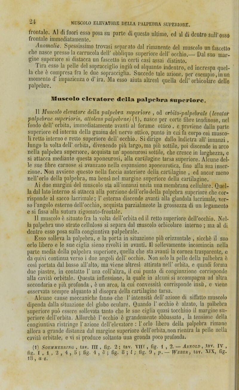 •* MUSCOLO ELEYATORE HELLA PALPEBRA SUPERIORE. frontale. Al di fuori esso posa su partc di questo ultimo, cd jl di dentro sull’osso frontale lmmcdiatamentc. Anomalie. Spessissimo trovasi soparato dal rimanente dcl muscolo un faseetto die nasce presso la carrucola doll’ obbliquo superiore doll’ occhio.— Dal suo mar- gine superiore si distacca un faseetto in certi casi assai distinto. 1 ira csso la pelle dcl sopracciglio ingiü od alquanto iridentro, ed increspa quel- la che 6 compresa fra le eine sopracciglia. Succede tale azione, per csempio,inun momenlo d inipazienzao d ira. Ma esso aiuta altrcsi quclla deli’ orbicolarc dclle palpebrc. lEBuscolo elcYatoi'c dcllei pnlpelira superiore. 11 Muscolo elevatore della palpebra superiore , od orbito-palpebrale (levalor palpebrae superioris, attolcns palpebrae) (1), nasce per corte fibre tendinose, nel fondo dell’ orbita, immediatamente avanti al forame otlico . c proviene dalla parte superiore ed interna della guaina dcl nervo ottico, punto in cui fa corpo coi musco- li retto interno e retto superiore dell’ occhio. Si dirige dallo indietra all’ innanzi, lungo la voltadell’ orbita, divenendo piii largo, ma piii sottile, poi discende in arco nella palpebra superiore, acquista un’ aponeurosi sottile, che cresce in larghezza, e si attacca mediante questa aponeurosi, alla cartilaginc tarsa superiore. Alcune del- le sue fibre carnose si avanzano nella espansione aponeurotica, lino alla sua inser- zione. Non avviene questo nella faccia anteriore della cartilagine , ed ancor meno nell’orlo della palpebra, ma bensinel margine superiore della cartilagine. Ai duc margini del muscolo sta all’innanzi unita una membrana cellulare. Quel- le dal lato interno si attacca alla porzione dcll’orlo della palpebra superiore che cor- risponde al sacco lacrimale; 1’ esterna discende avanti alla glandola lacrimale, ver- so l’angolo esterno dell’occhio, acquista parzialmeote la grossezza di un legamenlo e si fissa alla sutura zigomato-frontale. 11 muscolo ä situato fra la volta dell’orbita ed il retto superiore dell’occhio. Nel- la palpebra uno stralo cclluloso si separa dal muscolo orbicolare interno ; ma al di dentro esso posa sulla congiuntiva palpebrale. Esso solleva la palpebra, e la porta in situazione piü orizzontale , sicchfe il suo orlo libero e le sue ciglia sieno rivolti in avanti. il sollevamento incomincia nella parte media dclla palpebra superiore, quclla che sta avanti la cornea trasparentc, e da quivi continua verso i due angoli dell’ occhio. Non solo la pelle della palbcbra 6 cosi portata dal basso all’alto, ma viene altresi attirata nell’ orbita, e quindi forma due piastre, in contatto 1’ una coll’altra, il cui punto di congiunzionc corrisponde alla cavitä orbitale. Questa indessione, la quäle in alcuni si accompagna ad allra secondariae piii profonda , b un arco, la cui convcssilä corrisponde insü, e viene osservata sempre alquanto al disopra della cartilaginc tarsa. Alcune cause meccaniche fanno che 1’ intensitä dell’ azione di silfatlo muscolo dipenda dalla situazione del globo ocularc. Quando 1’ occhio b alzato, la palbebra superiore puö essere sollevata tanto che le sue ciglia quasi tocchiiio il margine su- periore dell’orbita. Allorchö 1’occhio 6 grandemente ahbassalo, la tensione della congiuntiva rislringe 1’azione dcH’elcvatore : 1’orlo libero della palpebra rimane allora a grande distanza dal margine superiore dell’orbita, non rientra la pelle nella cavitä orbitale, e vi si produce soltarito uua gronda poco profonda. (1) SoEHMEitniNG , tav. IN , fig. 2; tav. Vlir, fig. 1 , 2. — Arxold , tav. IV , fig. I , 1 , 2,4 , 5 ; ßg. 4 , 5 ; ßg. 8 ; l; fig. 9 , p. — Weder, tav. XIX, fig. i l\, a c.