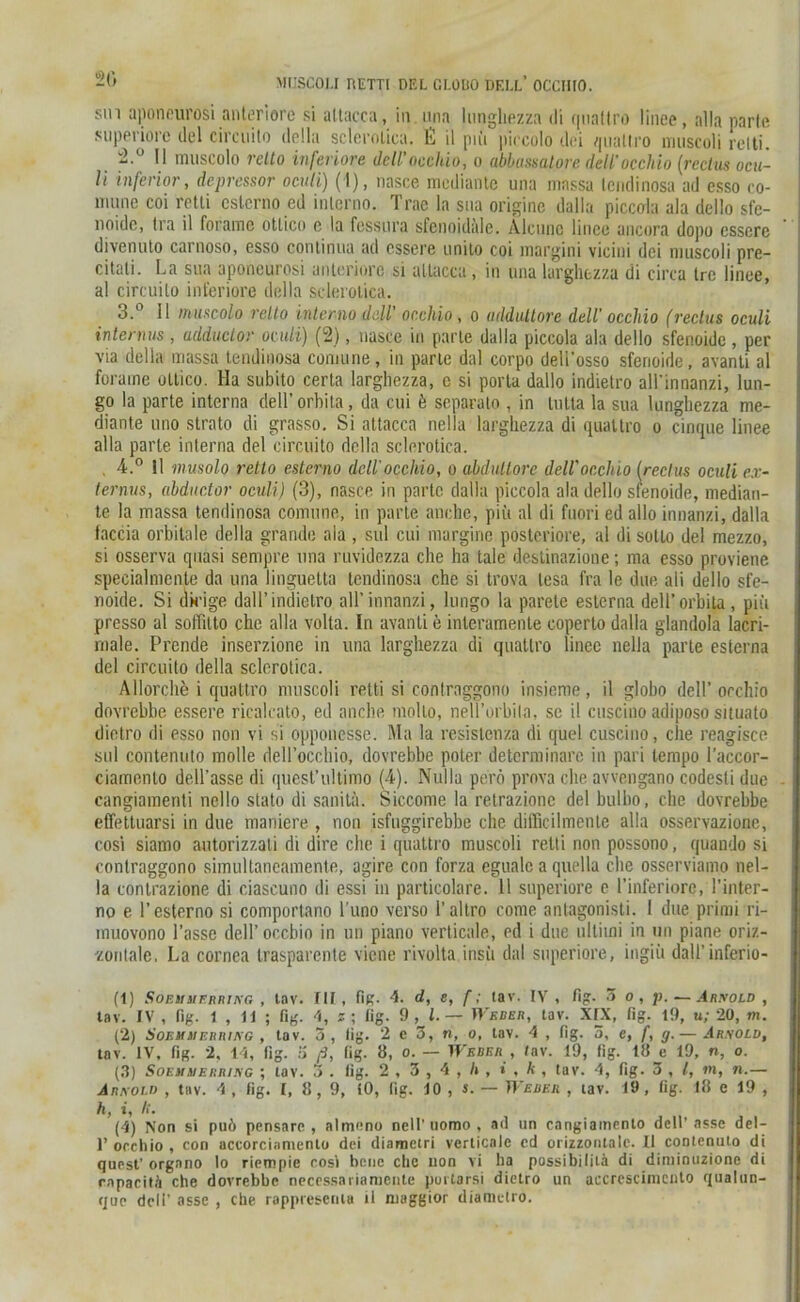 sin aponourosi anteriore si altacca, in nna lungliezza di quattro linee, alla parle superiore del circuito della sclerotica. lii il pm piccolo dei quattro muscoli relti. V muscolo relto inferiore dell’occliio, o ablnissalore dell'occliio (rectus ocu- li inferior, depressor oculi) (1), nasce mediante una niassa lendinosa ad esso co- nmne coi retti esterno ed inlerno. Trae la sna origine dalla piccola ala dello sfe- noidc, tra il forame otlico c la fessura sfenoidale. Alcunc linee ancora dopo esscre divenüto caruoso, esso continua ad cssere unilo coi inargini vicini dei muscoli pre- citali. La sua aponeurosi anteriore si altacca , in una larghezza di circa tre linee, al circuito inferiore della sclerotica. 3.° II muscolo relto inlerno dell' occliio, o addultore dell’ occliio (reclus oculi internus , adductor oculi) (2), nasce in parle dalla piccola ala dello sfenoide, per via della massa teudinosa comune, in parle dal corpo deli’osso sfenoide, avanti al furaine otlico. Ha subito certa largbezza, e si porla dallo indietro all'innanzi, lun- go la parte interna dell’ orbita, da cui b separate , in lutta la sua lungliezza me- diante uno strato di grasso. Si altacca nella larghezza di quattro o cinque linee alla parte interna del circuito della sclerotica. , 4.° !l musolo retlo esterno dell’occliio, o abdullore dell'occhio (reclus oculi ex- ternus, abductor oculi) (3), nasce in parte dalla piccola ala dello sfenoide, median- te la massa tendinosa comune, in parte aurhe, piü al di fuori ed allo innanzi, dalla faccia orbitale della grando ala, sul cui margine posteriore, al di sotto del mezzo, si osserva quasi sempre una ruvidezza che ha tale destinazione; ma esso proviene specialmente da una linguetta tendinosa che si trova lesa fra le due ali dello sfe- noide. Si dinge dall’indietro all’innanzi, lungo la parete esterna dell’orbita, piü presso al soffilto che alla volta. In avanti e interamente coperto dalla glandola Iacri- rnale. Prende inserzione in una larghezza di quattro linee nella parte esterna del circuito della sclerotica. Allorche i quattro muscoli retti si conlraggono insieme, il globo dell’occhio dovrebbe essere ricalcato, ed anche molto, nell’orbita, se il cuscino adiposo situato dietro di esso non vi si opponesse. Ma la resislcnza di quel cuscino, che reagisce sul contenuto molle dell’occhio, dovrebbe poter determinare in pari lempo l’accor- ciamenlo dell’asse di quest’ultimo (4). Nulla perö prova che avvengano codesli due cangiamenti nello stato di sanitä. Siccome la retrazione del bulbo, che dovrebbe eflettuarsi in due maniere , non isfuggirebbe che difficilmente alla osservazione, cosi siamo autorizzali di dire che i quattro muscoli retti non possono, quando si contraggono simultaneamente, agire con forza egualc a quella che osserviamo nel- la contrazione di ciascuno di essi in particolare. II superiore e l’inferiore, l’inter- no e 1’esterno si comportano l'uno verso l’altro come antagonisti. 1 due primi ri- muovono Passe dell’ oeebio in un piano verticale, ed i due Ultimi in un piane oriz- 'zontale. La cornea trasparente viene rivolta insii dal superiore, ingiii dall’inferio- (1) Soesuierring , tav. f11, fig. 4. d, e, f; tav. IY , fig. 3 o, p. — Arnold , tav. IV , fig. 1 , 11 ; fib'. 4, 2 ; fig. 9,1.— Weder, tav. Xj_X, fig. 19, u; 20, m. (2) Soemmerring , tav. 5, lig. 2 e 3, n, o, tav. 4 , fig. 3, e, f, g.— ^Ir.vozd, tav. IV, fig. 2, 14, fig. 3 ß, fig. 8, o. — TFüßE/i , fav. 19, fig. 18 e 19, n, o. (3) Soeuiuerring ; tav. 3 . fig. 2 , 3,4,/», » , k , tav. 4, fig. 3 , /, m, n.— Arnold , tav. 4 , fig. I, 8, 9, iO, fig. 10 , — Heber , tav. 19, fig. 18 e 19 , h, i, li. (4) Non si puö pensare , almnno nett’ uomo , ad un cangiamento dell’ asse del- 1’ orchio , con accorciamento dei diametri verticale ed orizzontale. 11 contenuto di quest’ organo lo riempie cosi bene che uon vi ha possibilitä di diminuzione di cnpacitä che dovrebbe necessariamente poitarsi dietro un accrescimcnto qualun- que deli’ asse , che rappresentu il niaggior diametro.