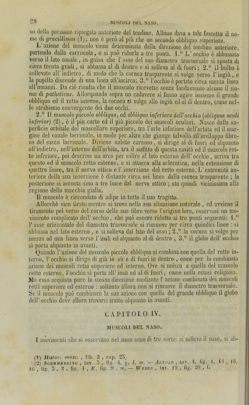 M.USCOLI DEL NASO. so de!ln porzionc ripiogula anteriore dcl tcndine. Albino dava a tale fascetto il no- jne di gracillimus (1); non 6 pcrö al piii che un sccondo obbliquo superiore. L’azione del muscolo vicne determinata dalla direzione del lendine anteriore, partendo dalla carrucola, e si puö ridurla a tre punti. l.° L’occhio 6 abbassato verso il lato nasale , in guisa che 1’ asse del suo diaraetro trasversale si sposta di circa trenta gradi, si abbassa al di dcntro e si solleva al di fuori; 2.° il bulbo 6 sollevato aH’indietro, di modo che la cornea trasparente si volge verso l’ingiü, e la pupilla discende di una linea all’incirca; 3,° l'occhio ö porlalo circa mezza linea all’innanzi. Da ciö risulta che il muscolo ricevettc senza fondamento alcuno il no- me di patheticus. Allorquando sopra un cadavere si fanno agire insieme il grandc obbliquo ed il retto interno, la cornea si volge allo ingiü cd al di dentro, come nel- lo strabismo convergente dei due occhi. 2.° Il muscolopiccolo obbliquo, od obbliquo inferiore dell'occhio (obliqmis oculi inferior) (2), ö il piii corto ed il piii piccolo dei muscoli oculari. Nasce dalla su- perficie orbitale del inascellare superiore, tra l’orlo inferiore deH’orbita ed il mar- gine del canale lacrimale, in modo per allro che giunge talvolta all’inviluppo fibro- so del sacco lacrimale. Divienc subito carnoso, si dirige al di fuori ed alquanto all’indietro, nell’interno dell’orbita, tra il solfitto di questacavitä ed il muscolo ret- to inferiore, poi descrive un arco per salire al lato esterno dell’occhio, arriva tra questo ed il muscolo retto esterno, e si altacca alla sclerotica, nella estensione di quattro linee, tra il nervo ottico e 1’ inserzione del retto esterno. L'estremitä an- teriore della sua inserzione ö distante circa sei linee dalla cornea trasparente ; la posteriore si accosta sino a tre linee dal nervo ottico ; sla quindi vicinissima alla regione della macchia gialla. Il muscolo ö circondato di adipe in tutto il suo tragitto. Allorchö vien lirato mentre si trova nella sua situazione naturale , cd avviene il tiramento pel verso del corso delle sue fibre verso l’origine loro, osservasi un mo- vimento complicato dell’ occhio, che puö essere ridotto ai tre punti seguenli: l.° 1’ asse orizzontale del diametro trasversale si rimuove per circa quindici linee : si abbassa nel lato esterno , e si solleva dal lato del osso ; 2.° la cornea si volge per mezza ad una linea verso 1’ insit ed alquanto al di dentro ; 3.° il globo dell’ occhio si porta alquanto in avanti. Quando 1’ azione del muscolo piccolo obbliquo si combina con quella del retto in- terno, 1’ occhio si dirige di giii in sü e di fuori in dentro , come per la combinata azione dei muscoli retto superiore ed interno. Ove si unisca a quella del muscolo retto esterno, l'occhio si porta all’ insu ed al di fuori, come nella eslasi religiosa. Mn esso acquista pure la stessa direzione mediante 1’ azione combinata dei muscoli relli superiore ed esterno : soltanto allora non si rimuove il diametro trasversale. Se il muscolo puö combinarc la sua azione con quella dcl grande obbliquo il globo dell’ occhio deve allora trovarsi tralto alquanto in avanti. CAP1TOLO IV. MUSCOLI DEL NASO. 1 m’oviiiienli che si osscrvano nel naso sono di tre sorle: si solleva il naso, si ah (1) Hittor. musc. , lib. 3 , cap. 25. (2) SuKMMBIlMNG , luv. 5 . (ig. 4, l, in. •— ArROLD , tiiv. 4, lig. 1. 15 , 13, 10 , fig. 5,3, tig. 1 , li. Kg. !l , w. — WEM’.B , tav. 1!) , lig. 20 , l.