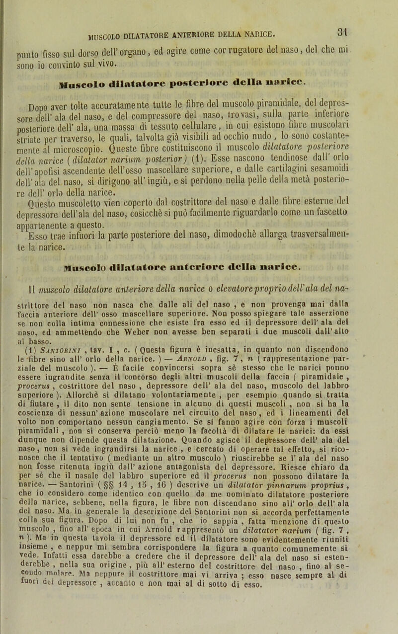 MUSCOLO DILATATORE ANTERIORE DELLA NARICE. punt0 fisso sul dorso dell’organo, ed agire come corrugatore del naso, del che nn sono io convinto sul vivo. Muscolo dilntatorc posteriore «lclla unricc. Dopo aver tolte accuratame nte tutte le fibre del muscolo piramidale. del depres- Sore dell' ala del naso, e del compressore del naso, trovasi, sulla parle inferiore posteriore dell’ ala, una massa di tessuto cellulare , in cui esislono fibre muscolan striate per traverso, le quali, lalvolta giä visibili ad occhio nudo , lo sorio coslante- menle al rnicroscopio. Queste Obre coslituiscono il muscolo dilatatore posteriore della narice {dilatator narium posterior) (1). Esse nascono tendinose dali’ orlo dell’apofisi ascendente dell’osso mascellare superiore, e dalle cartilagini sesamoidi dell’ ala del naso, si dirigono all’ ingiü, e si perdono nella pelle della metä posterio- re dell’ orlo della narice. Questo muscoletto vien coperto dal costrittore del naso e dalle fibre esterne del depressore dell’ala del naso, cosicchüsi puö facilmente riguardarlo come un fascetto appartenente a questo. Esso trae infuori la parte posteriore del naso, dimodochö allarga trasversalmen- te la narice. Muscolo dilatatore anteriore della narice. 11 muscolo dilatatore anteriore della narice o elevatore proprio dell'ala del na- strittore del naso non nasea die dalle ali del naso , e non provenga mai dalla faccia anteriore dell’ osso mascellare superiore. Non posso spiegare tale asserzione se non colla intinia connessione ehe esiste fra esso ed il depressore dell'ala del naso, cd ammeliendo che Weber non avesse ben separat! i due inuscoli dall’allo al basso. (1) Santorini , tav. I , c. (Questa fignra 6 inesatta, in quanto non discendono le fibre sino all’ orlo della narice. )— Arnold , fig. 7, n ( rappresentazione par- ziale del muscolo ). — E facile convinccrsi sopra sA stesso die le narici ponno esscre iugrandile senza il concorso degli altri muscoli della faccia ( piramidale, procerus , costrittore del naso , depressore dell’ ala del naso, muscolo del labbro superiore ). Allorchü si dilatano volontariamente , per esempio quando si tratta di fiutare , il dito non sente tensione in alcuno di questi muscoli , non si ba la coscienza di nessun’ azione muscolare nel circuito del naso, ed i lineamenti del volto non comportano nessun cangiamenlo. Se si fanoo agire con forza i muscoli piramidali , non si conserva pereiö meno la facoltä di dilatare le narici: da essi dunque non dipende questa dilatazione. Quando agisce il depressore dell’ ala del naso, non si vede ingrandirsi la narice , e cercato di operare tal elfelto, si rico- nosce che il tentativo ( mediante un altro muscolo) riuscirebbe se 1’ala del naso non fosse ritenuta ingiü datl’ azione antagonisla del depressore. Riesce chiaro da per sü che il nasale del labbro superiore ed il procerus non possono dilatare la narice. —Santorini (§§ 14 , la , 16 ) descrive un dilatator pinnarum proprius , che io considero come identico con quello da me nominato dilatatore posteriore della narice, sebbene, nella figura, le fibre non discendano sino all’orlo dell’ala del naso. Ala in generale la descrizione del Santorini non si aecorda perfettamenlo colla sua figura. Dopo di lui non fu , che io sappia , fatta menzione di questo muscolo , fino all’epoca in cui Arnold rappresentö un dilatator narium ( fig. 7 , n ). Ma in questa tavola il depressore ed il dilatatore sono evidentemente riuniti insieme , e neppur mi sembra corrispondere la figura a quanto comunementc si vede. Infatti essa darebbe a crcdere che il depressore dell’ ala del naso si esten- derebbe , nella sua origine, piü all’esterno del costrittore del naso , fino al se- condo molare. Ma neppure il costrittore mai vi arriva ; esso nasce sempre al di luori del depressore , accanto e non mai al di sotto di esso.