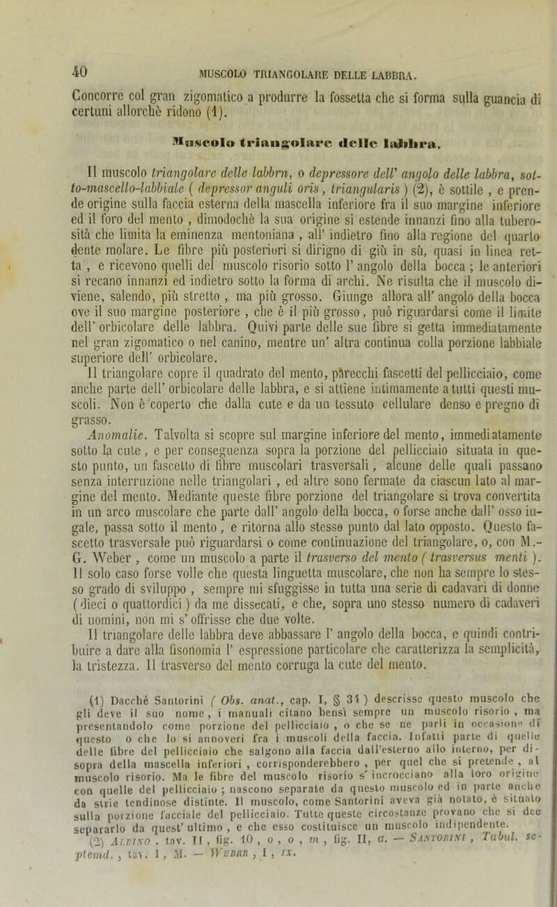 Concorre col grari zigomatico a produrre la fossetta che si forma sulla guancia di certuni allorche ridono (1). Muscolo triangolsirc dcllc lulihra. II muscolo triangolare dclle labbrn, o depressore dell' angolo delle labbra, sol- to-mascello-labbiale ( depressot anguli oris, iriangularis ) (2), e sottile , e pren- de originc sulla faccia esterna della mascella inferiore fra il suo margine inferiore cd il foro del mento , dimodochü la sua origine si estende innanzi fino alla tubero- sitä che limita la eminenza mentoniana , all’ indielro fino alla regione del quarlo dcnte molare. Le libre piü posteriori si dirigno di giü in sii, quasi in linea ret- ta , c ricevono quelli del muscolo risorio sotto 1’ angolo della bocca ; lc anteriori si recano innanzi ed indietro sotto la forma di archi. Ne risulta che il muscolo di- viene, salendo, piü stretto , ma piü grosso. Giunge allora all’angolo della bocca ove il suo margine posteriore , che e il piü grosso, puö riguardarsi come il limite dell’ orbicolare dclle labbra. Quivi parle delle sue fibre si getta immediatamenle nel gran zigomatico o nel canino, mentre un’ altra continua colla porzione labbiale superiore dell’ orbicolare. Il triangolare copre il quadrato del mento, pürecchi fascetti del pellicciaio, come anche parte dell’ orbicolare delle labbra, e si atliene intimamente atutti questi mu- scoli. Non e 'coperto che dalla cute e da un tessuto cellulare denso c pregno di grasso. Anomalie. Talvolta si scopre sul margine inferioredel mento, immediatamenle sotto la cute, e per conseguenza sopra la porzione del pellicciaio situata in que- sto punto, un fascetto di libre muscolari trasversali, alcune delle quali passano senza interruzione nelle triangolari , ed altre sono fermate da ciascun lato al mar- ginc del mento. Mediarite questc fibre porzione del triangolare si trova convertita in un arco muscolare che parte dall’ angolo della bocca, o ferse anche dal!’ osso iu- gale, passa sotto il mento , e ritorna allo stesso punto dal lato opposto. Questo fa- scetto Irasversaie puö riguardarsi o come conlinuazione del triangolare, o, con M.- G. Weber , come un muscolo a parle il trasverso del mento (trasversus menti). 11 solo caso forse volle che questa linguelta muscolare, che non ha sempre lo stes- so grado di sviluppo , sempre mi sfuggisse in tutta una serie di cadavari di donne (dieci o qualtordici) da me dissecati, e che, sopra uno stesso numero di cadaveri di uomini, non mi s’offrisse che due volte. 11 triangolare dclle labbra deve abbassare I’ angolo della bocca, e quindi conlri- buire a darc alla fisonomia 1’ espressione parlicolare che caratterizza la scmplicitä, la tristezza. 11 trasverso del mento corruga la cute del mento. (1) Dacch6 Santorini ( Obs. anal., cap. I, § 31) descrissc questo muscolo che gli deve il suo nome, i irianuali cilano beosi sempre un muscolo risorio , ma prcsenlandolo come porzione del pellicciaio , o che se ne parli in occasione di questo o che lo si annoveri fra i inuscoli della faccia. Infalli parte di quelle delle fibre del pellicciaio che salgono alla faccia dall’eslerno allo inlerno, per di- sopra della mascella inferiori , corrisponderebbero , per qticl che si pretende , al inuscolo risorio. Ma le fibre del muscolo risorio s' incrocciano alla loro origine con quelle del pellicciaio ; nascono separate da questo muscolo cd in parte anche da strie tendinose distinte. II muscolo, come Santorini aveva gia notato, e situalo sulla porzione facciale del pellicciaio. Tutte queste circostanzc provano che si dec separarlo da quest’ultimo , e che esso costiluiscc un muscolo indipendente. (2) Ai.nxo . tav. II , fig. 10 , o , o , m , Dg. II, a. — Santomni , Tabul. se- ptemd. , tav. 1, M. — 1 Vevnn , I, ix.