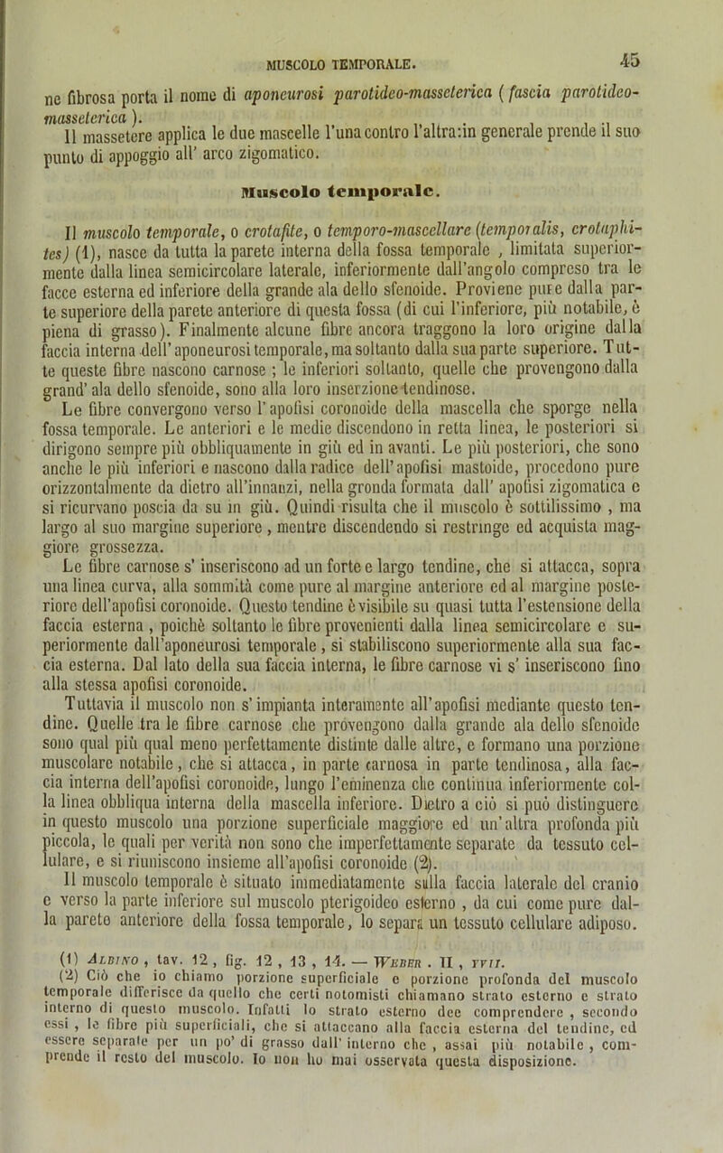 MUSCOLO TEMPORALE. ne fibrosa porta il nome di aponcurosi parotidco-massderica (fascia parotidco- massderica ). II massetcre applica le due mascelle l’unacontro 1 altraan generale prende il suo punto di appoggio all’ arco zigomatico. Mnscolo temporale. II muscolo temporale, o crotafite, o temporo-mascellarc (tcmpojalis, crotaphi- tes) (1), nascc da tutta laparetc interna dclla fossa temporale , limitata superior- mente dalla linea semicircolare laterale, inferiormenle dall’angolo comprcso tra le facce esterna ed inferiore della grande ala dello sfenoide. Proviene pure dalla par- le superiore della parete anteriore di questa fossa (di cui l’inferiore, piü notabile, e piena di grasso). Finalmente alcune fibre ancora traggono la loro origine dalla faccia interna dell’aponeurositemporale,masoltanto dalla suaparte superiore. Tut- te queste fibre nascono carnose ; le inferiori sollanto, quelle che provengono dalla grand’ ala dello sfenoide, sono alla loro inserzione tendinose. Le fibre convergono verso 1' apolisi coronoide della mascella che sporge nella fossa temporale. Le anteriori e le medie discendono in retta linea, le posteriori si dirigono sempre piü obbliquamente in giü ed in avanti. Le piü posteriori, che sono anclie le piü inferiori c nascono dalla radice dell’apofisi mastoide, proccdono pure orizzonlalmente da dictro all’innauzi, nella gronda formata dall’ apolisi zigomatica c si ricurvano poscia da su in giü. Quindi risulta che il muscolo k soltilissimo , ma largo al suo margine superiore, mentre discendendo si restnngc ed acquista mag- giore grossezza. Le fibre carnose s’ inseriscono ad un forte e largo tendine, che si atlacca, sopra una linea curva, alla sommitä come pure al margine anteriore ed al margine poste- riore dell’apofisi coronoide. Qucsto tendine üvisibile su quasi tutta l’estensione della faccia esterna , poichü sollanto le fibre provenienti dalla linea semicircolare c su- periormente dall’aponeurosi temporale, si stabiliscono superiormente alla sua fac- cia esterna. Dal lato della sua faccia interna, le fibre carnose vi s’ inseriscono fino alla stessa apofisi coronoide. Tuttavia il muscolo non s’impianta interamente all’apofisi mediante questo len- dine. Quelle tra le fibre carnose che provengono dalla grande ala dello sfenoide sono quäl piü quäl meno perfettamente distinte dalle altre, c formano una porzione muscolarc notabile, che si atlacca, in parle carnosa in parte tendinosa, alla fac- cia interna dell’apofisi coronoide, lungo l’cminenza che continua inferiormente col- la linea obbliqua interna della mascella inferiore. Dictro a ciö si puö distingucrc in questo muscolo una porzione superficiale maggiorc ed un’ allra profonda piü piccola, le quali per veritä non sono che imperfetlamente separate da tessuto cel- lulare, e si riuniscono insieme all’apofisi coronoide (2). 11 muscolo temporale ü situato immediatamente sulla faccia laterale del cranio e verso la parte inferiore sul muscolo pterigoideo esterno , da cui come pure dal- la pareto anteriore dclla fossa temporale, lo separa un tessuto cellulare adiposo. (11 Ai.biko , lav. 12 , (ig. 12 , 13 , 14. — Wunen . TI , rru. (2) Ciö che io chiamo porzione superficiale e porzione profonda del muscolo temporale dilTerisce da qucllo che certi notomisti chiamano Strato esterno e stralo interno di questo muscolo. Infalli lo stralo esterno dee comprendcre , sccondo essi , le fibre piü superficiali, che si atlaccano alla faccia esterna del tendine, ed esscre separate per un po’ di grasso dall’ interno che , assai piü notabile , coni- prendc il rcsto del muscolo. Io uon ho mai osscrvala questa disposizionc.