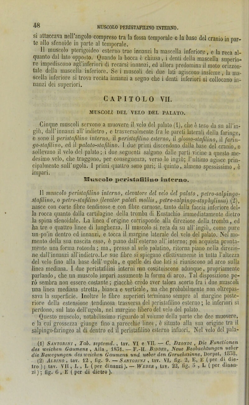 si attaccava nell’angolo compreso tra la fossa temporale c la base del cranio in Har- te allo sfenoide in parte al temporale. , v 11 muscolo pterigoideo csterno trae innanzi la mascclla inferiore, e la reca al- quanto dal lato opposto. Quando la bocca e cliiusa, i denli della mascclla superio- re impediscono agl’inferiori di recarsi innanzi, cd allora predominail moto orizzon- talc della mascella inferiore. Se i muscoli dei due lali agiscono insieme, la ma- scella inferiore si trova recata innanzi a segno che i denti inferiori si collocano in- nanzi dei superiori. CAPITOLO VII. MUSCOLt DEL VELO DEL 1>ALATO. Cinque muscoli servono a muovere il velo dcl palato (1), che e teso da su all’in- giü, dall’innanzi all’ indietro, e trasversalmente fra le pareti laterali della faringe, e sono il peristaßlino interno, il perista/ilino csterno, il glesso-staßlino, il farin- go-staßhno, ed il palato-stafilino. I due primi discendono dalla base del cranio, e sollevano il velo del palato; i due seguenti salgono dalle parti vicine a questo me- desimo velo, che traggono, per conseguenza, verso lo ingiü; Pultimo agisce prin- cipalmente sull’ugola. I primi quallro sono pari; il quinlo, almeno spessissimo, b impari. IBSuscolo pcristaßSatao vaiteruo. 11 mnscolo peristaßlino interno, elevatore del velo del palato , pelro-salpingo- stafilino, o petro-staßlino (levator palati mollis, petro-salpingo-stuphylinus) (2), riasce con corte tibre tendinose e con fibre carnose, tanto dalla faccia inferiore dcl- la rocca quanto dalla cartilagine della tromba di Eustachio immediatamente dietro la spina sfenoidale. La linea d’origine corrisponde alla direzione della tromba, cd ha tre o quattro linee di lunghezza. 11 mnscolo si reca da su all’ ingiii, come pure un po’in dentro cd innanzi, e tocca il margine laterale del velo del palato. Nel mo- mento della sua nascita esso, b piano dall’esterno all’interno; poi acquista pronta- mente una forma rotonda; ma, presso al velo palalino, ritorna piano nella direzio- ne dall’innanzi all’indietro.Le sue fibre si spiegano effettivamenie in lulla l’altezza del velo fino alla base dell’ugola, e quelle dei due lati si riuniscono ad arco sulla linea mediana. I due peristafilini interni non costituiscono adunque, propriamentc parlando, che un muscolo impari assumente la forma di arco. Tal disposizione pe- rö sembra non essere costante; giacchö credo aver talora scorlo fra i due muscoli una linea mediana stretta, bianca e verticale, ma che probabilmente non oltrepas- sava la superficie. Inoltre le fibre superiori terminano sempre al margine poste- riore della estensione tendinosa trasversa del peristafilino csterno; le inferiori si perdono, sul lato dell’ugola, nel margine libero dcl velo del palato. Questo muscolo, notabilissimo riguardo al volumc della parte che dec muovere, e la cui grossezza giunge fino a parccchie linee, b situalo alla sua origine tra il salpingo-faringeo al di dentro ed il peristafilino csterno infuori. Nel velo dcl pala- ti) Santorihi , Tab. septemd. , tav. VI e VII. — C. Dzondi , Die Functionen des weichen Gaumens , Alla , 1851. — F.-H. Bidder, Neue Beobachtungen ueber die Bewegungen des weichen Gaumens und ueber den Geruchssinne, Dorpat, lil5!I. (2) Albino, tav. 12 , fig. 9. —Santojunj , tav. VI, fig. 2, E, E (per di die- tro ); tav. Vit, L , L ( per dinanzi). — Weber , tav. 22, fig. ö , L ( per dinan-
